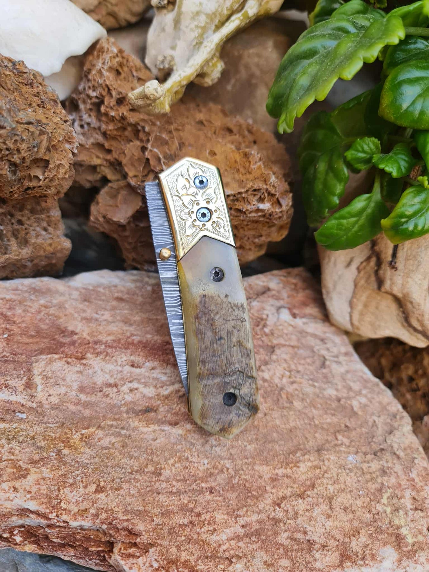 Handmade Limited Edition with Serial Number 20cm Knife with Damascus Steel - Cyprus Wild Mouflon Horn & Hand Engraved Brass (Exclusive Knife with Serial Number & Exclusive Gift Box)