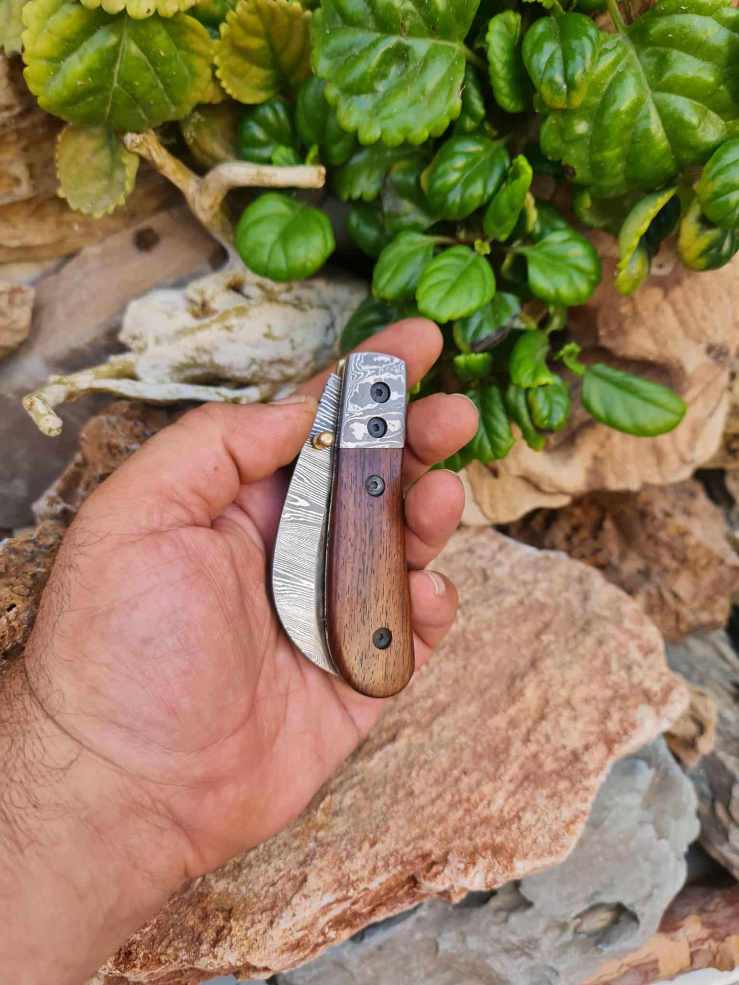 Handmade Hawkbill – 18cm Folding Knife with Damascus Steel & Walnut Wood