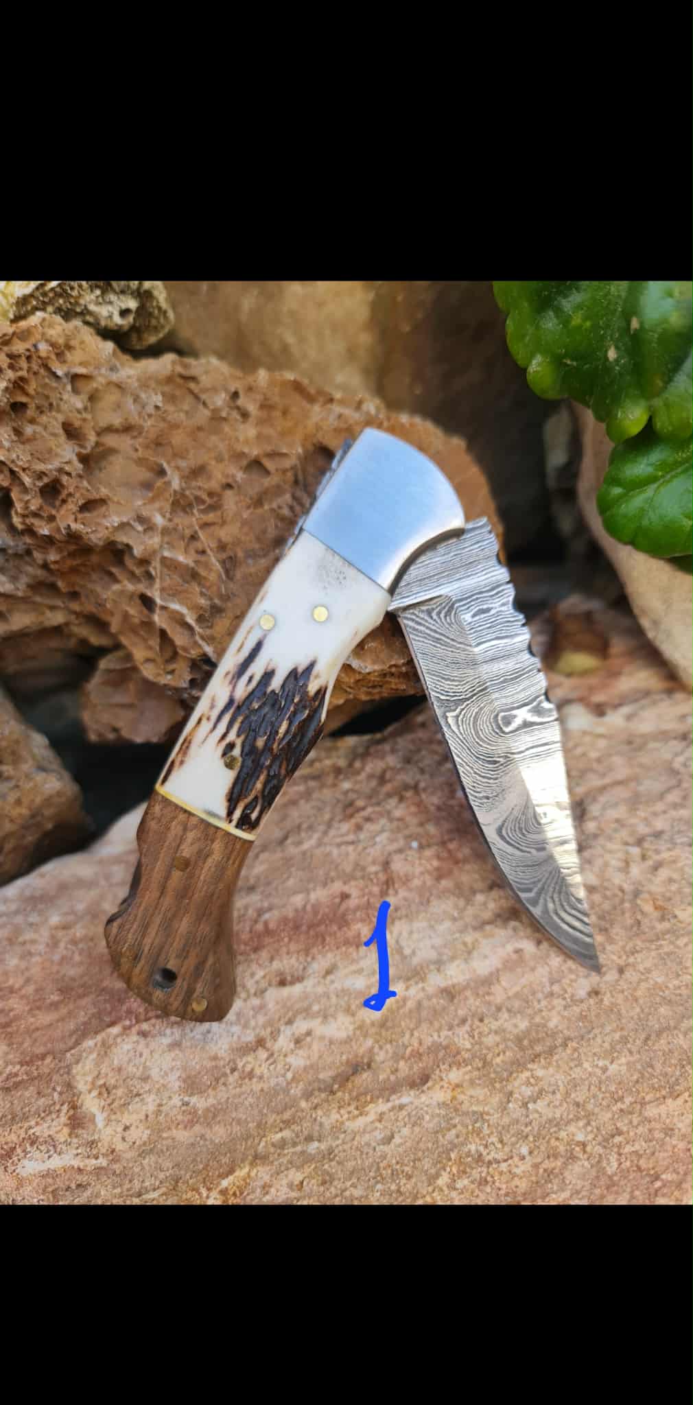 Handmade 19cm Pocket Knife with Damascus Steel - Red deer antler - Walnut wood & D2 Stainless Steel