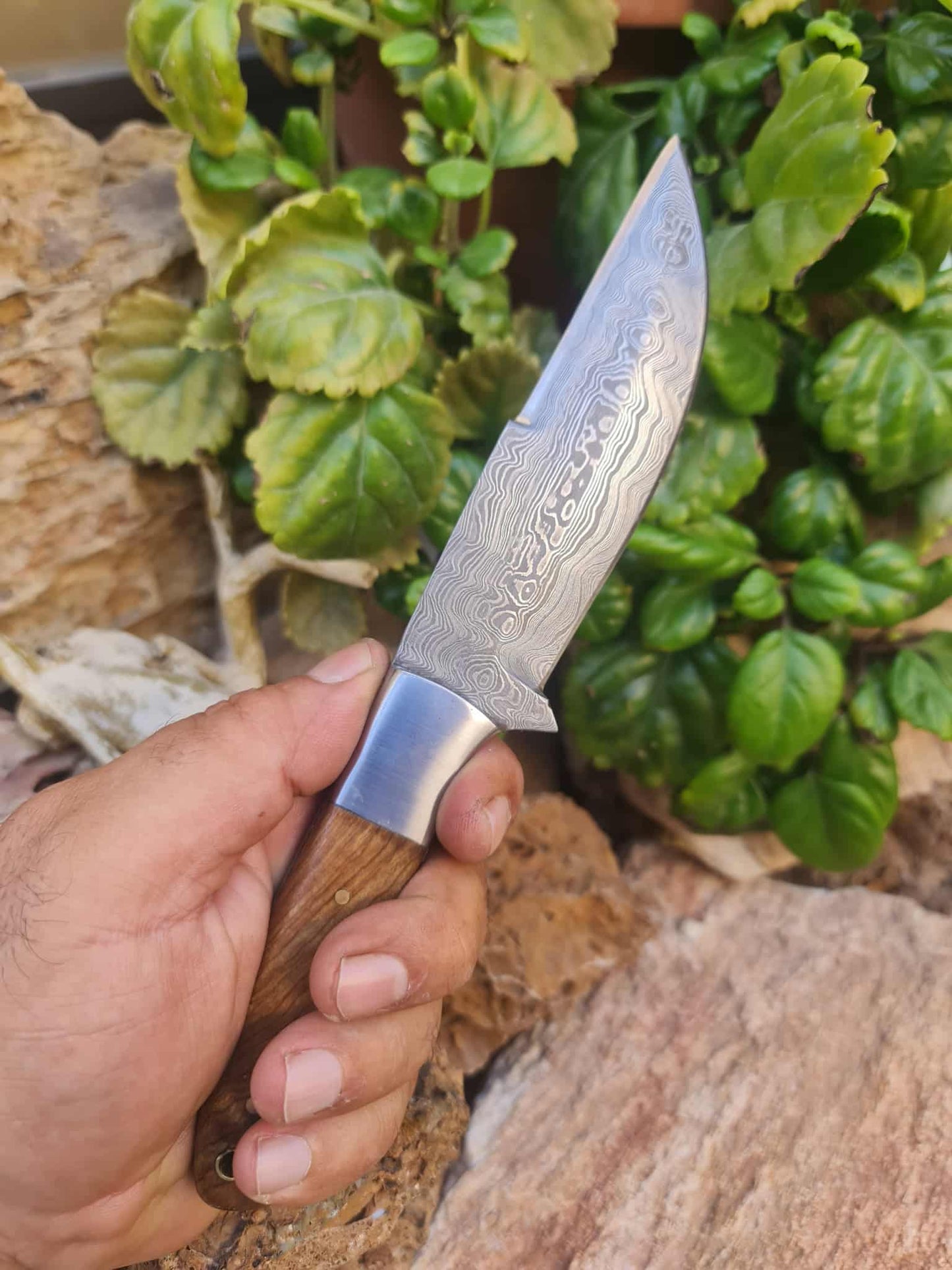 Handmade 24cm Hunting Knife with Raindrop Damascus Steel - Walnut wood & D2 Stainless Steel