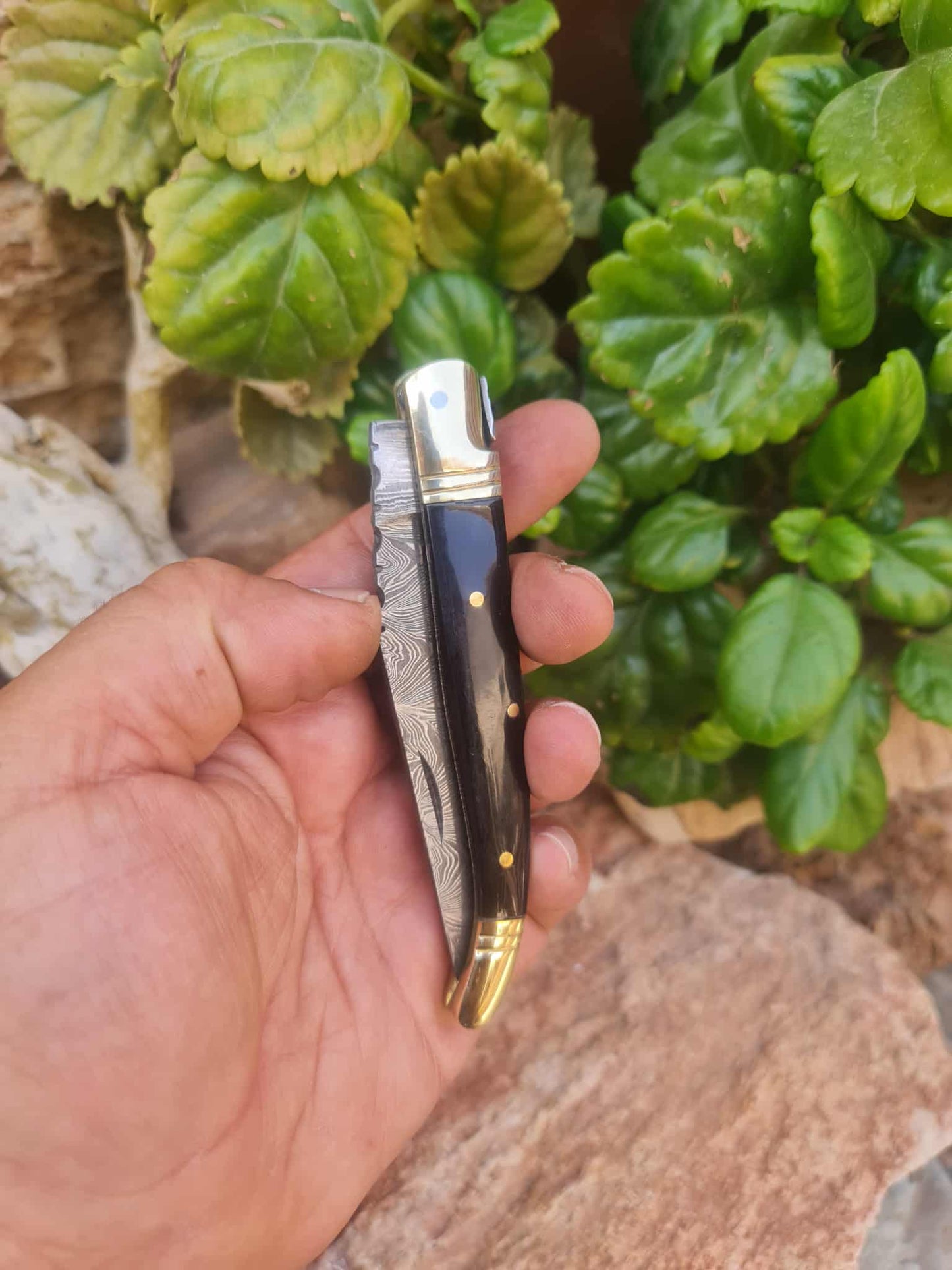 Handmade 22cm Laguiole Classique with Damascus Steel - Buffalo Horn & Brass