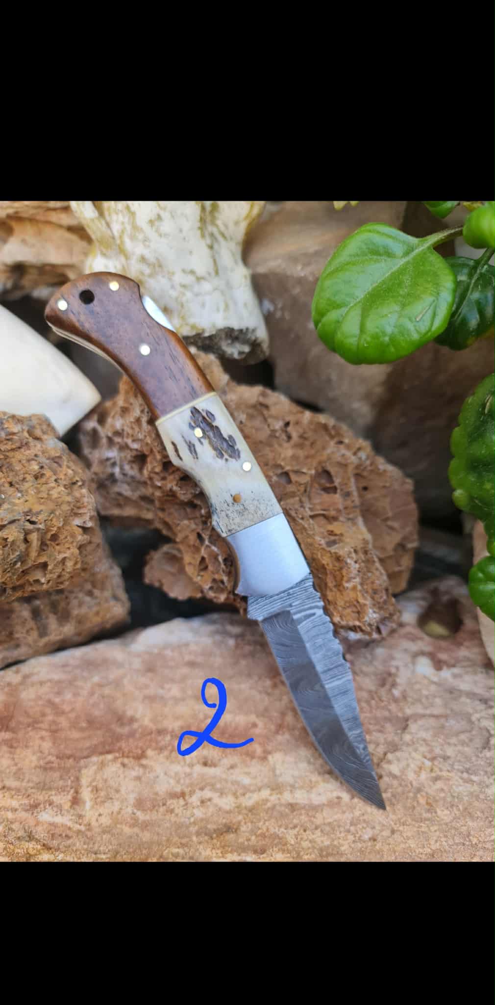 Handmade 19cm Pocket Knife with Damascus Steel - Red deer antler - Walnut wood & D2 Stainless Steel