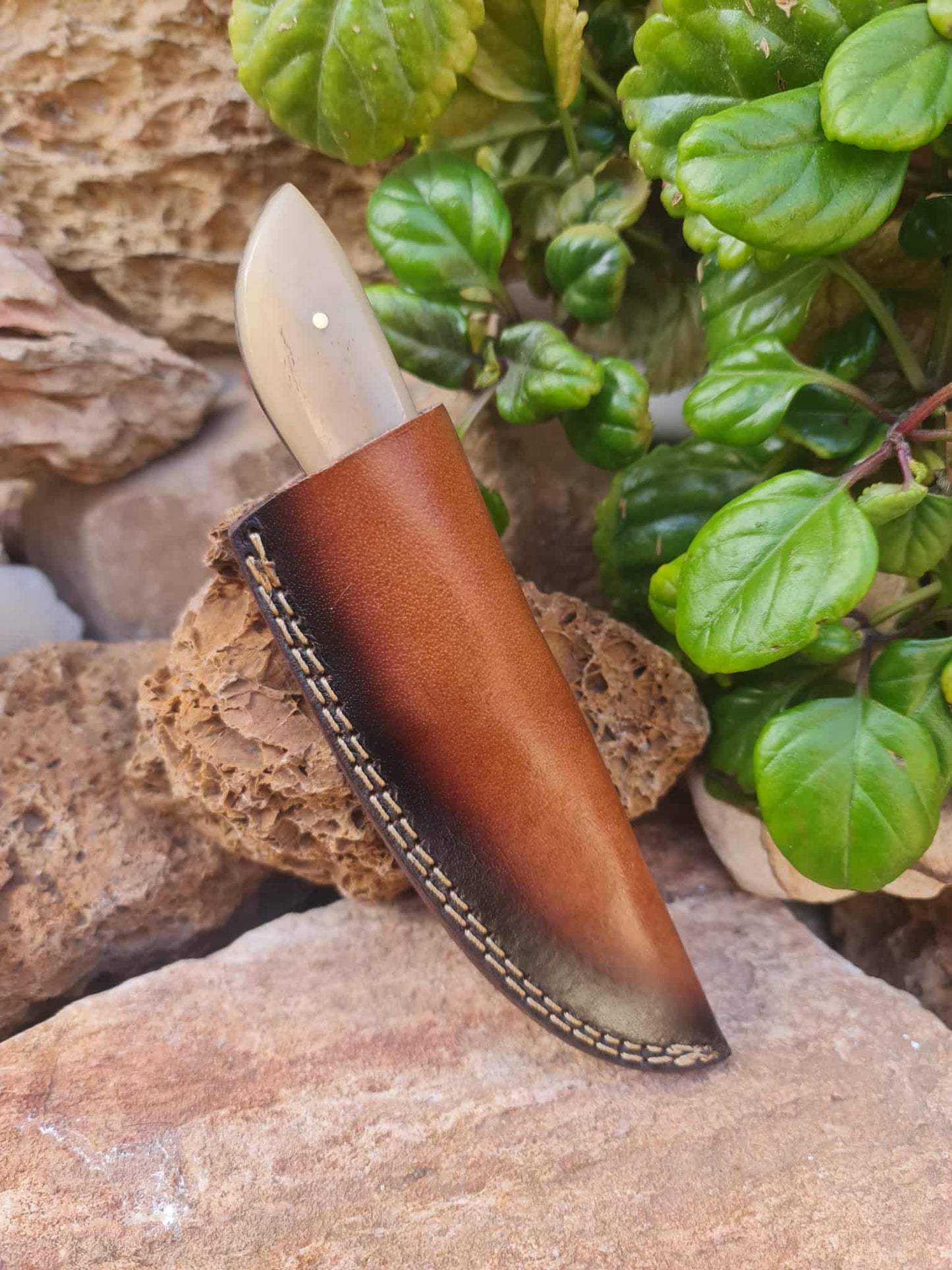 Handmade 21cm Hunting Knife with Damascus Steel & Camel bone