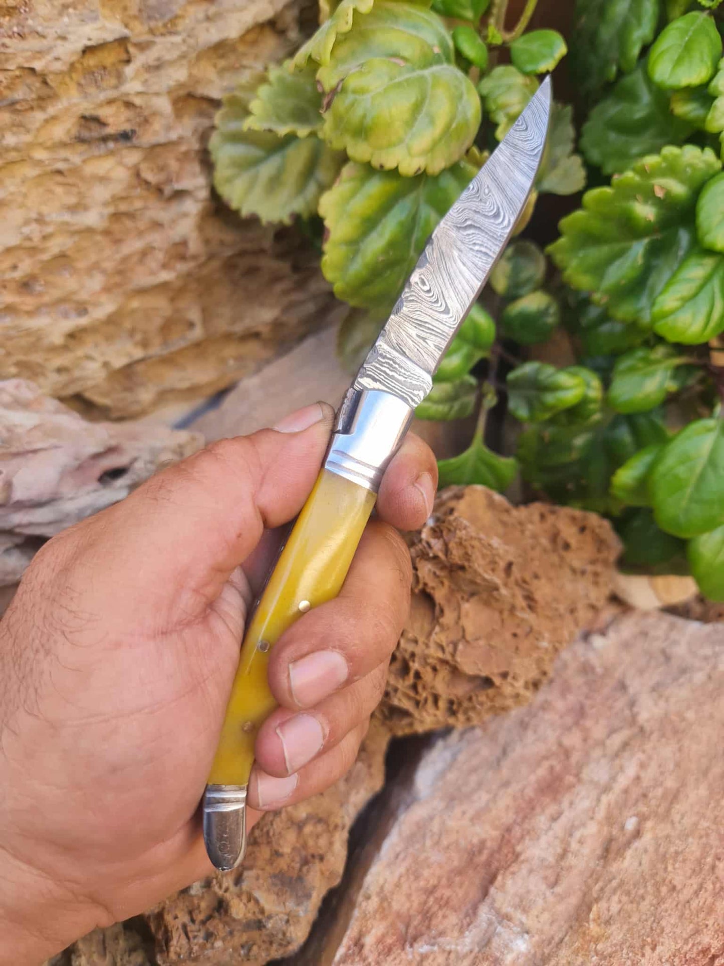 Handmade 22cm Laguiole Rustique with Damascus Steel - Stabilized Camel Bone with D2 Stainless Steel