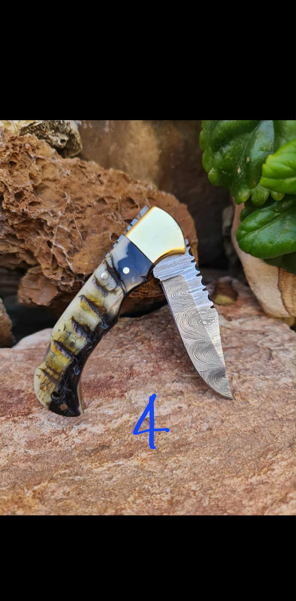 Handmade 17cm Pocket Knife with Damascus Steel - Ram Horn & Brass