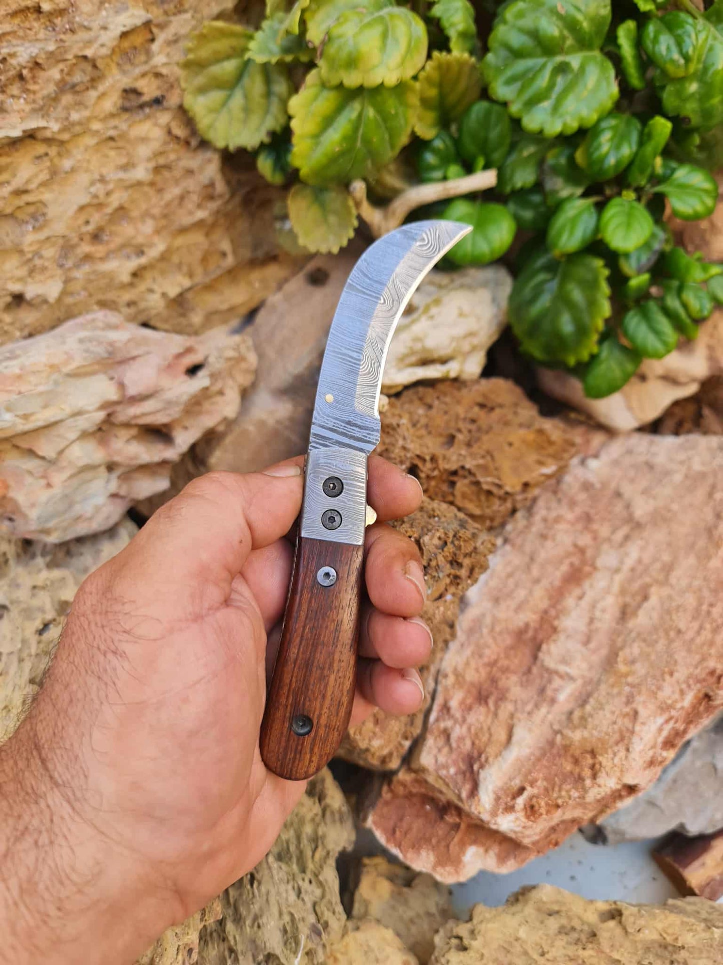 Handmade Hawkbill – 18cm Folding Knife with Damascus Steel & Walnut Wood