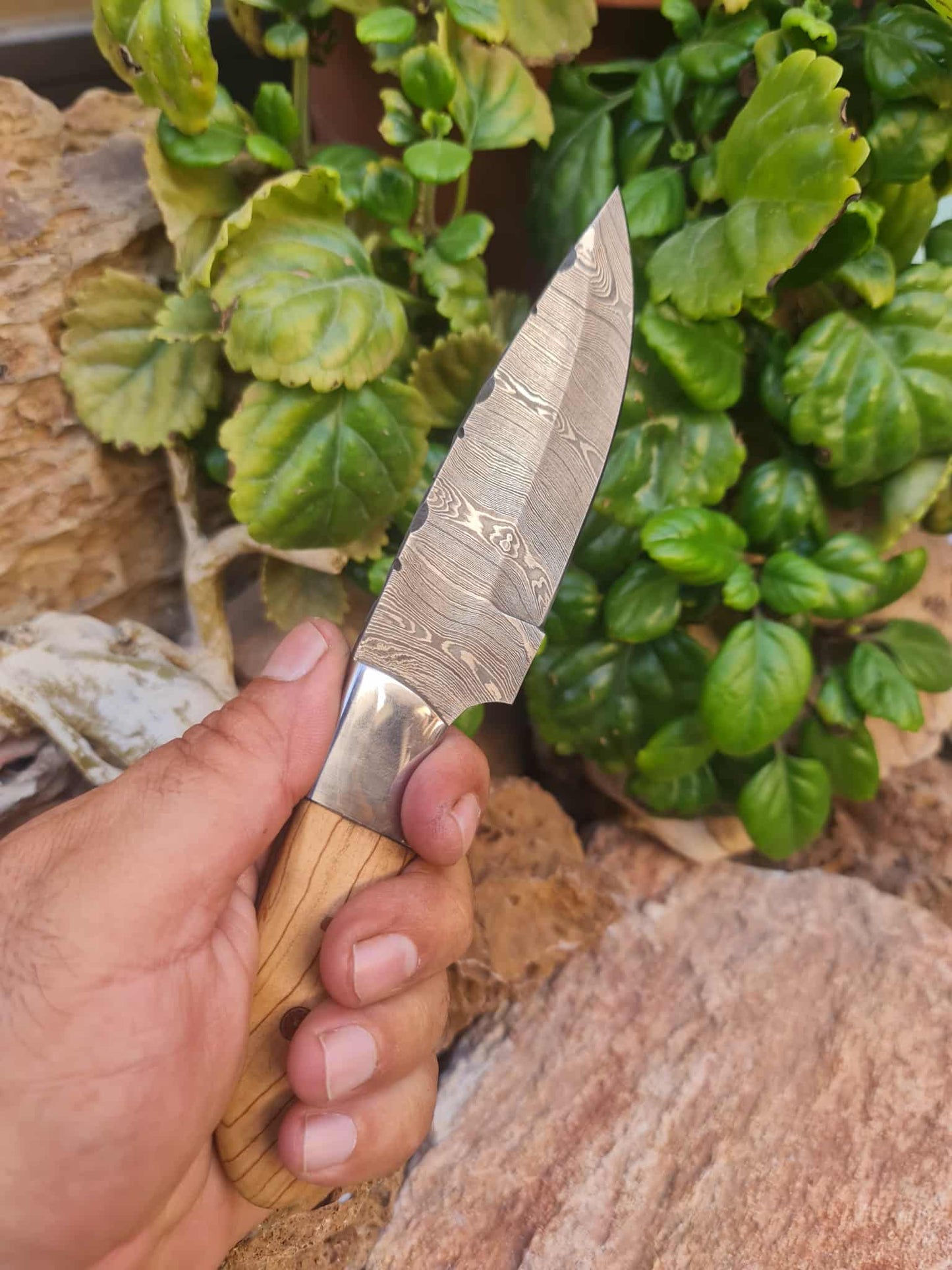 Handmade 22cm Skinner Knife with Damascus Steel - Olive wood & D2 Stainless Steel