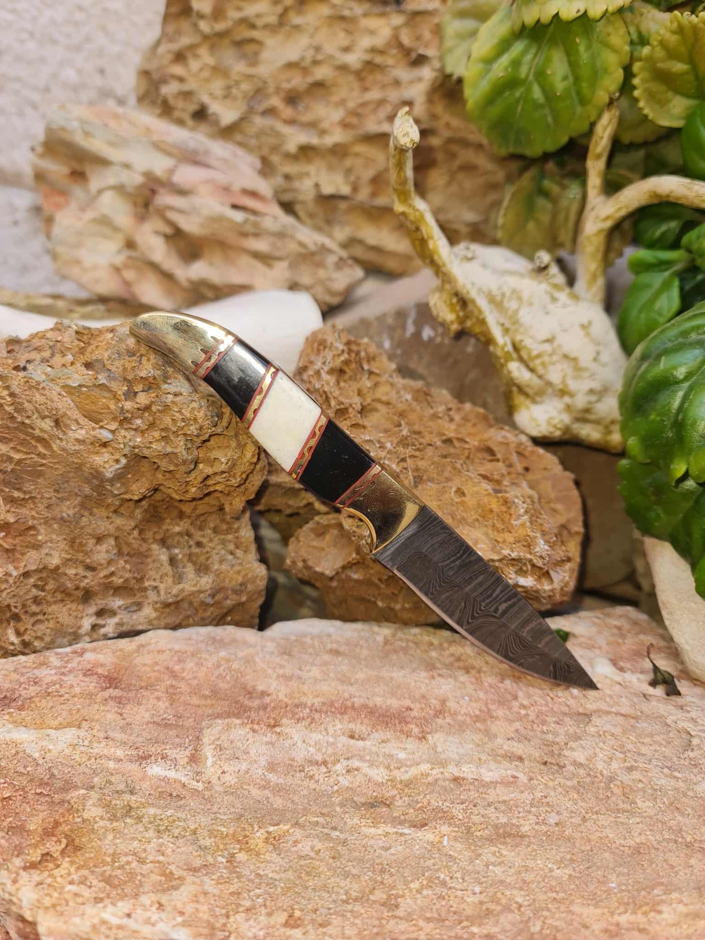Handmade 18cm Mini Hunting Knife with Damascus Steel - Buffalo Horn - Camel Bone & Brass