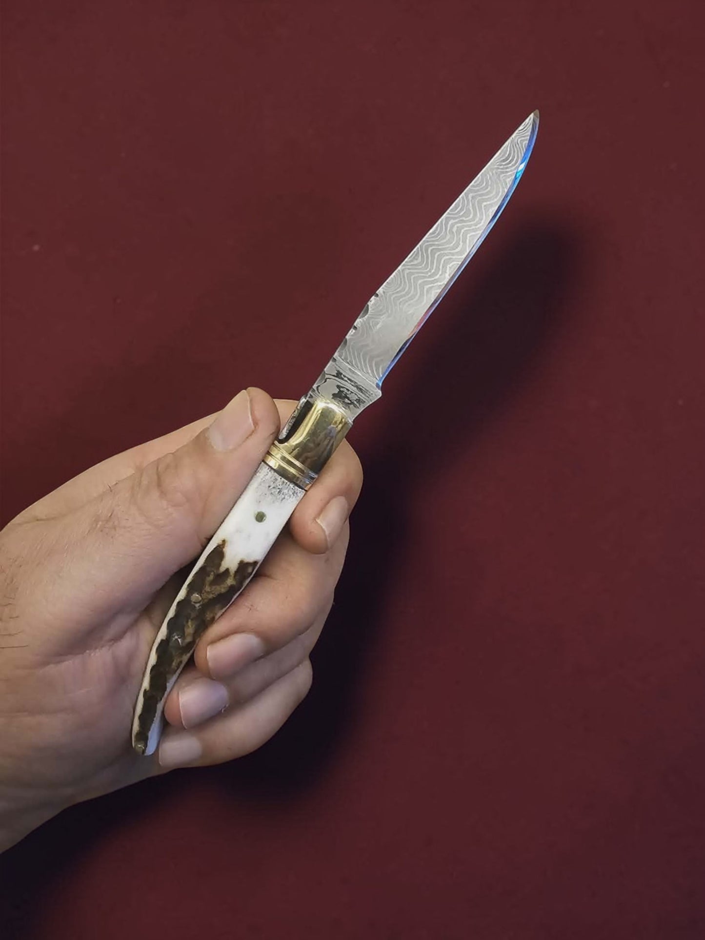 F086 - Laguiole La Guêpe - Stainless Damascus & Horn