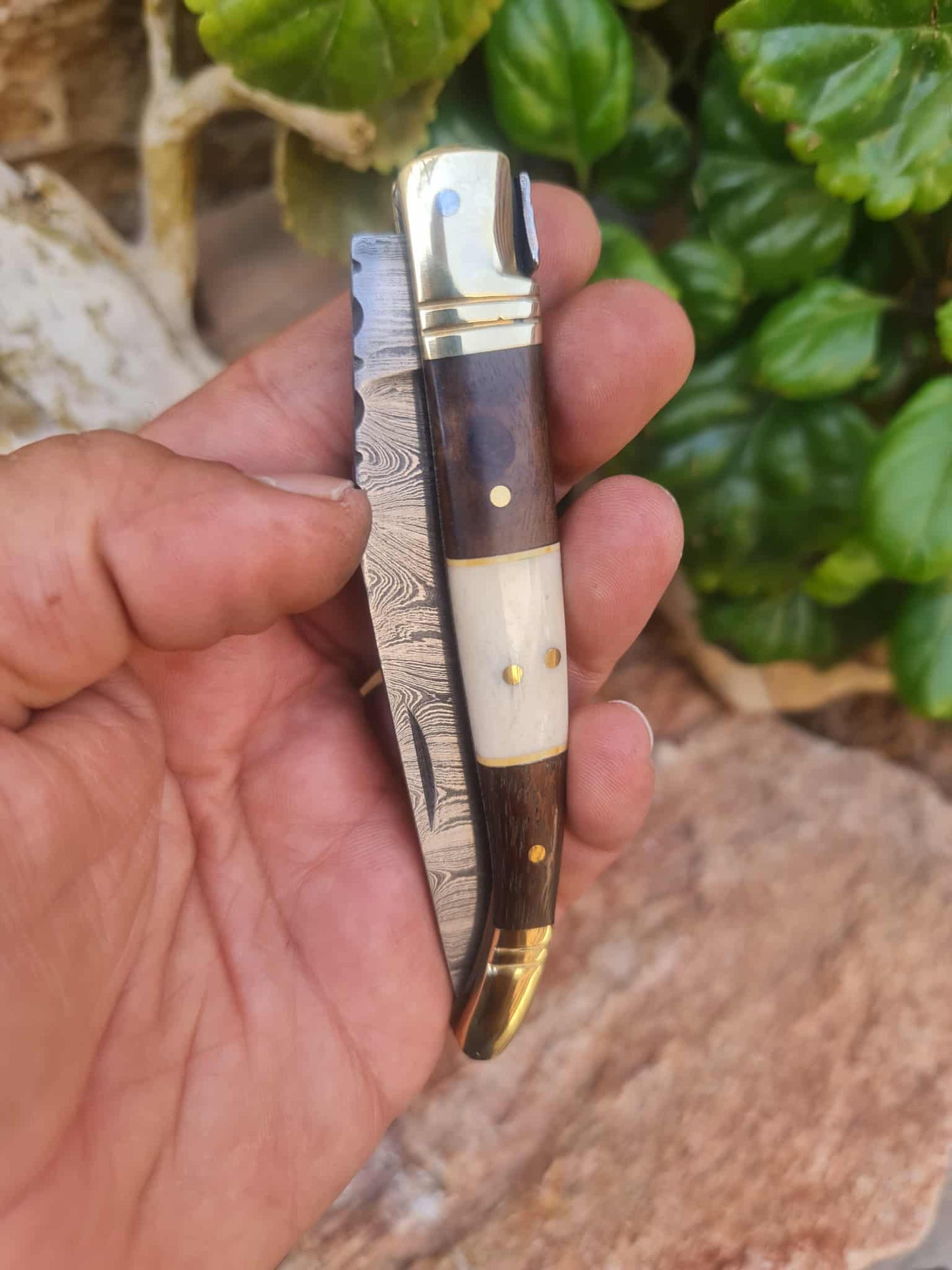 Handmade 22cm Laguiole Classique with Damascus Steel - Rosewood - Camel Bone & Brass