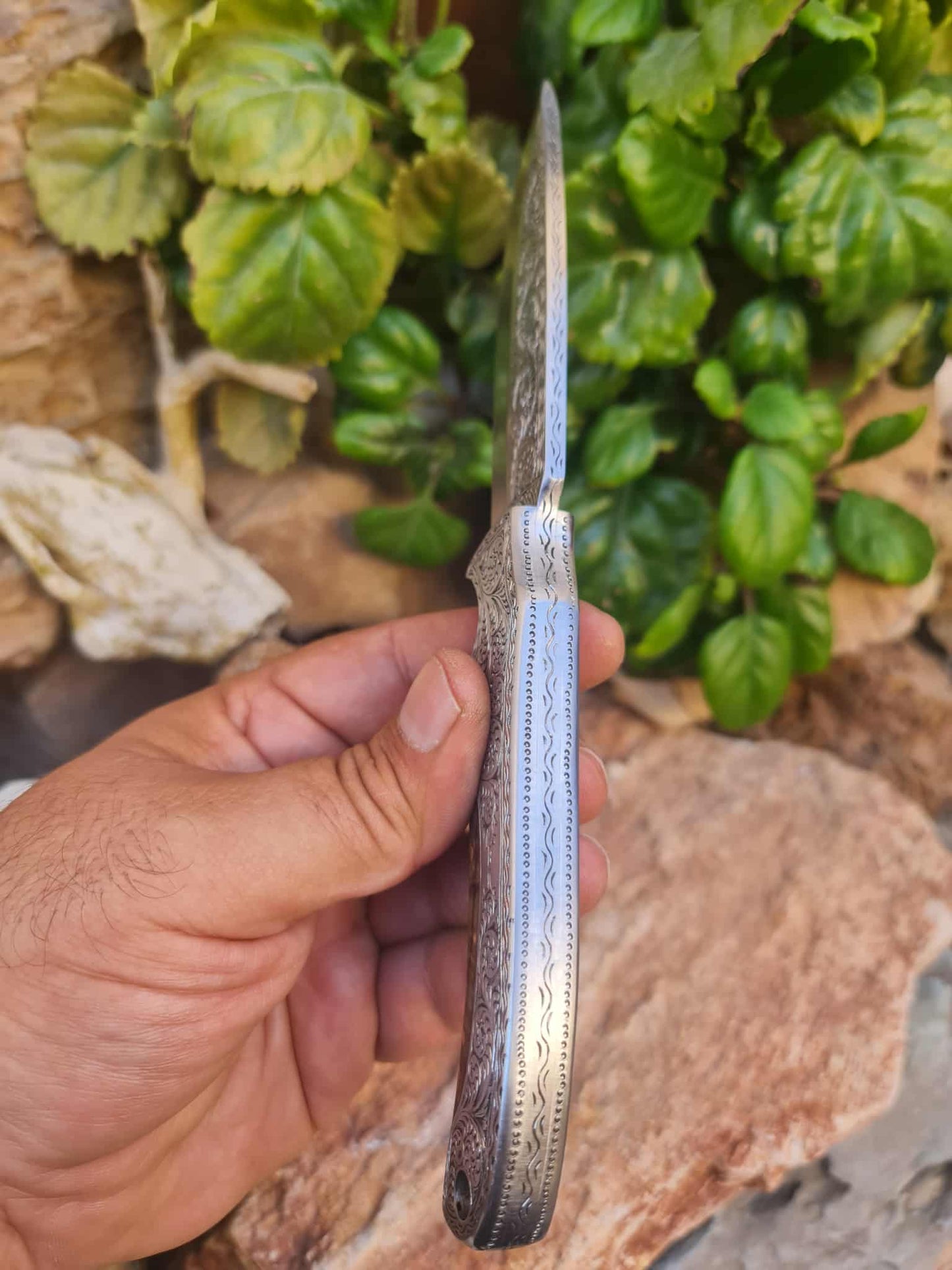 Handmade 23cm Exclusive Hunting Knife with Stainless Steel with Master Hand-Engraved & Exotic Hardwood