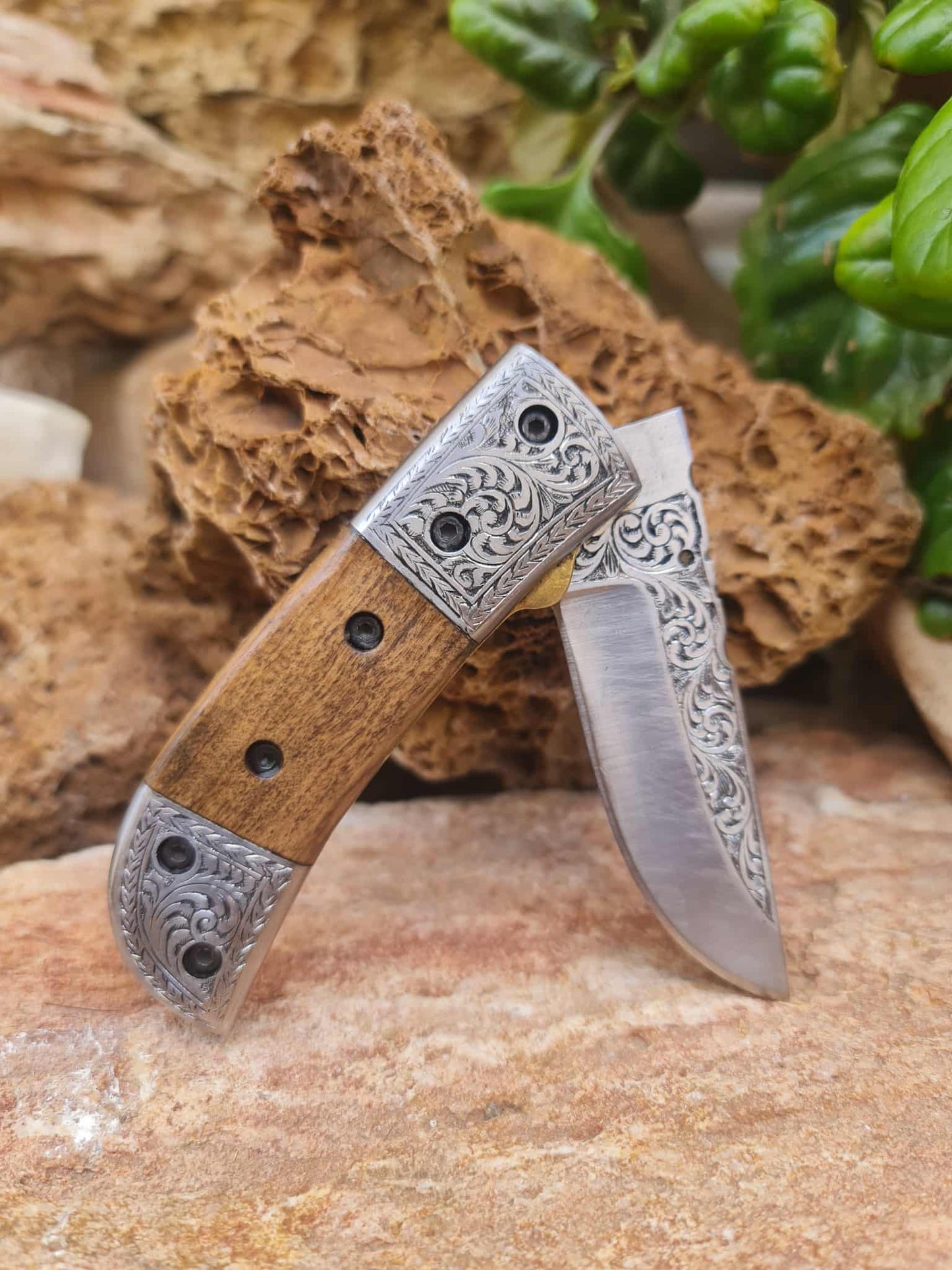 Handmade Limited Edition with Serial Number 18cm Knife with 420 Stainless Steel with Master Hand-Engraved & Olivewood