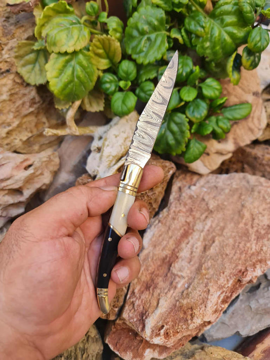 Handmade 22cm Laguiole Classique with Damascus Steel - Camel Bone - Buffalo Horn & Brass
