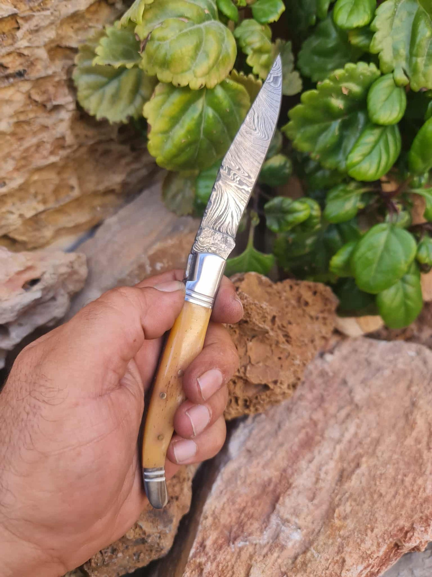 Handmade 22cm Laguiole Rustique with Damascus Steel - Stabilized Camel Bone with D2 Stainless Steel