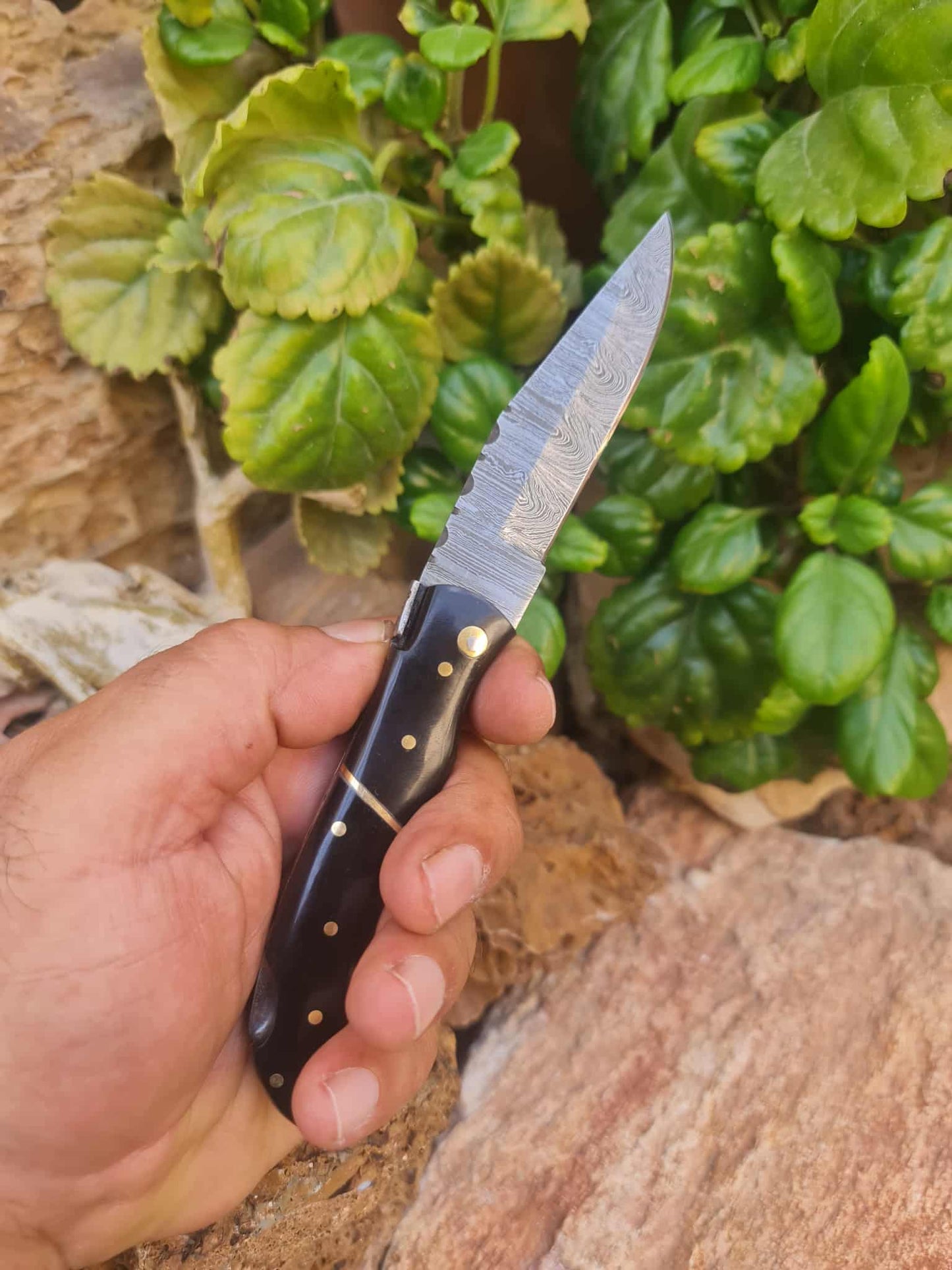 Handmade 19cm Laguiole Élite with Damascus Steel & Buffalo horn