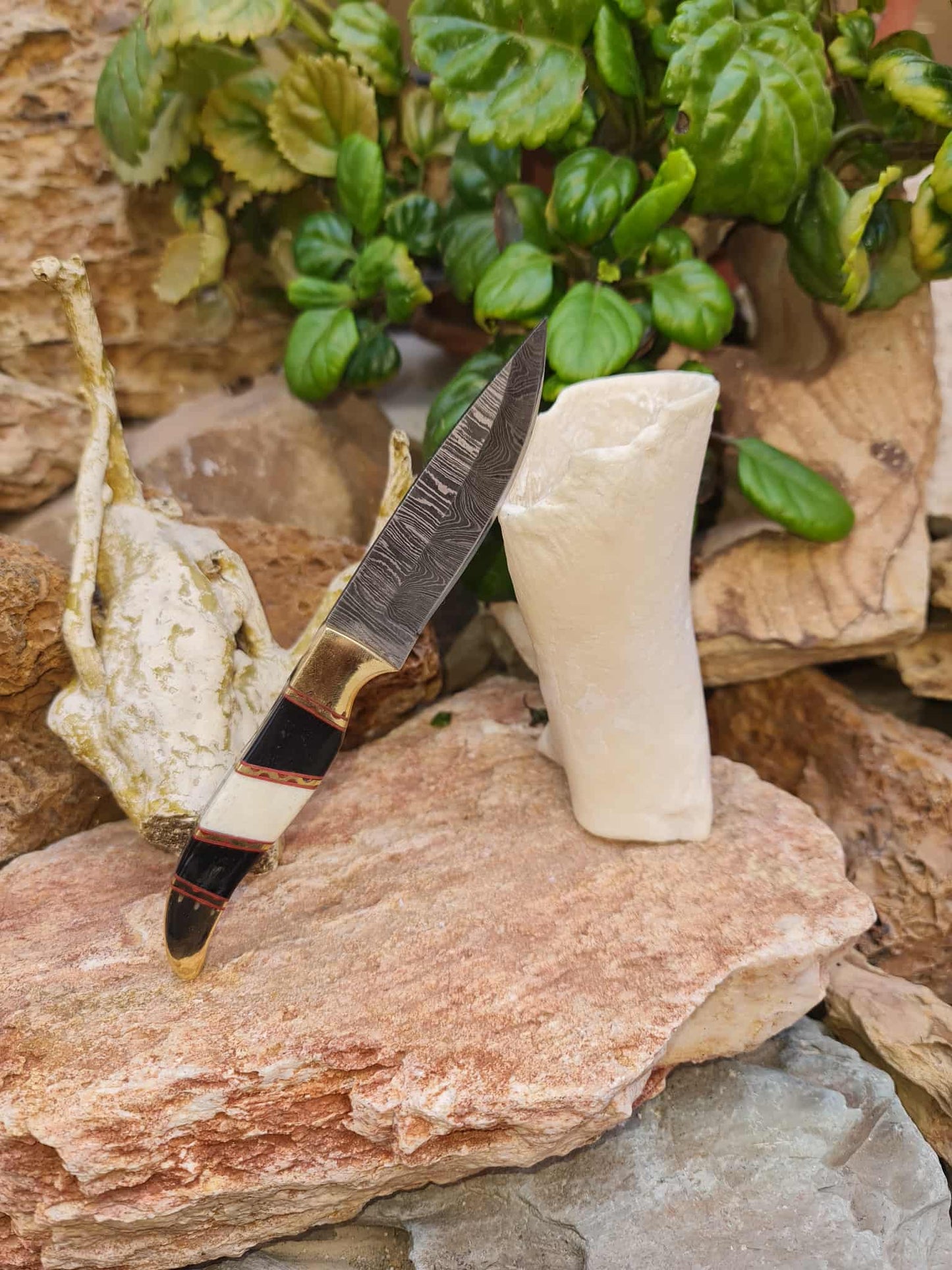 Handmade 18cm Mini Hunting Knife with Damascus Steel - Buffalo Horn - Camel Bone & Brass