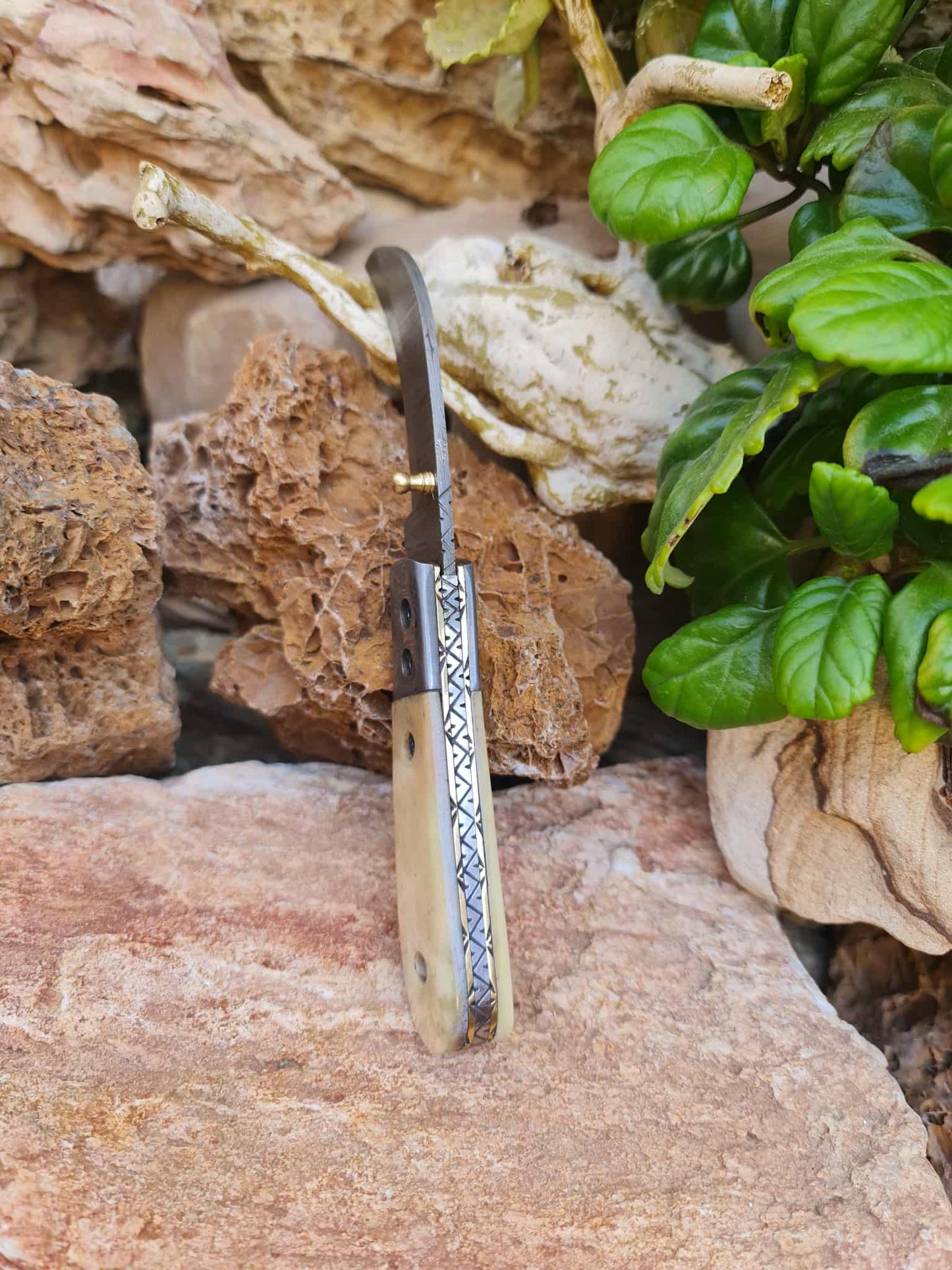 Handmade Hawkbill – 18cm Folding Knife with Damascus Steel & Camel Bone