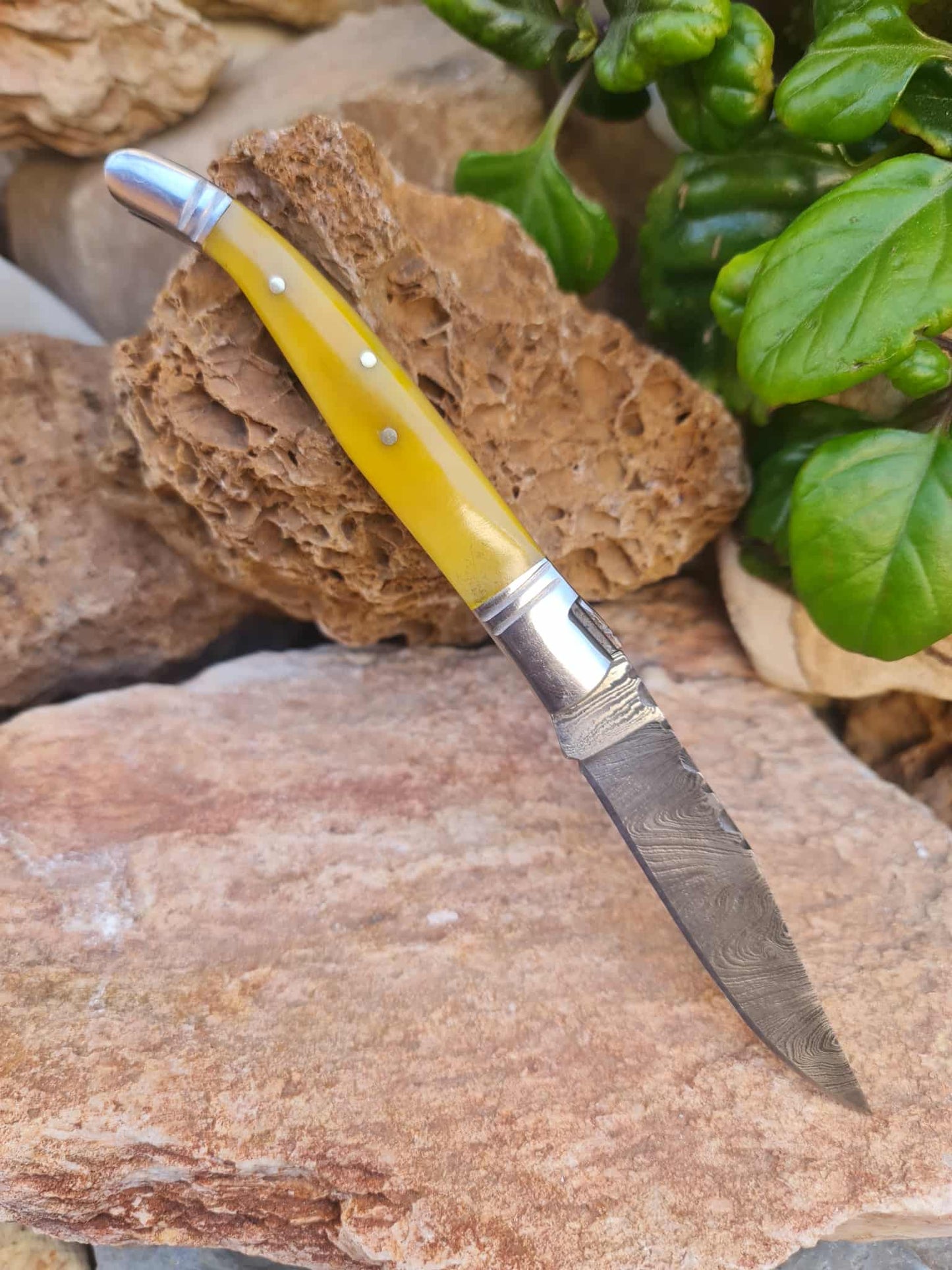 Handmade 22cm Laguiole Rustique with Damascus Steel - Stabilized Camel Bone with D2 Stainless Steel