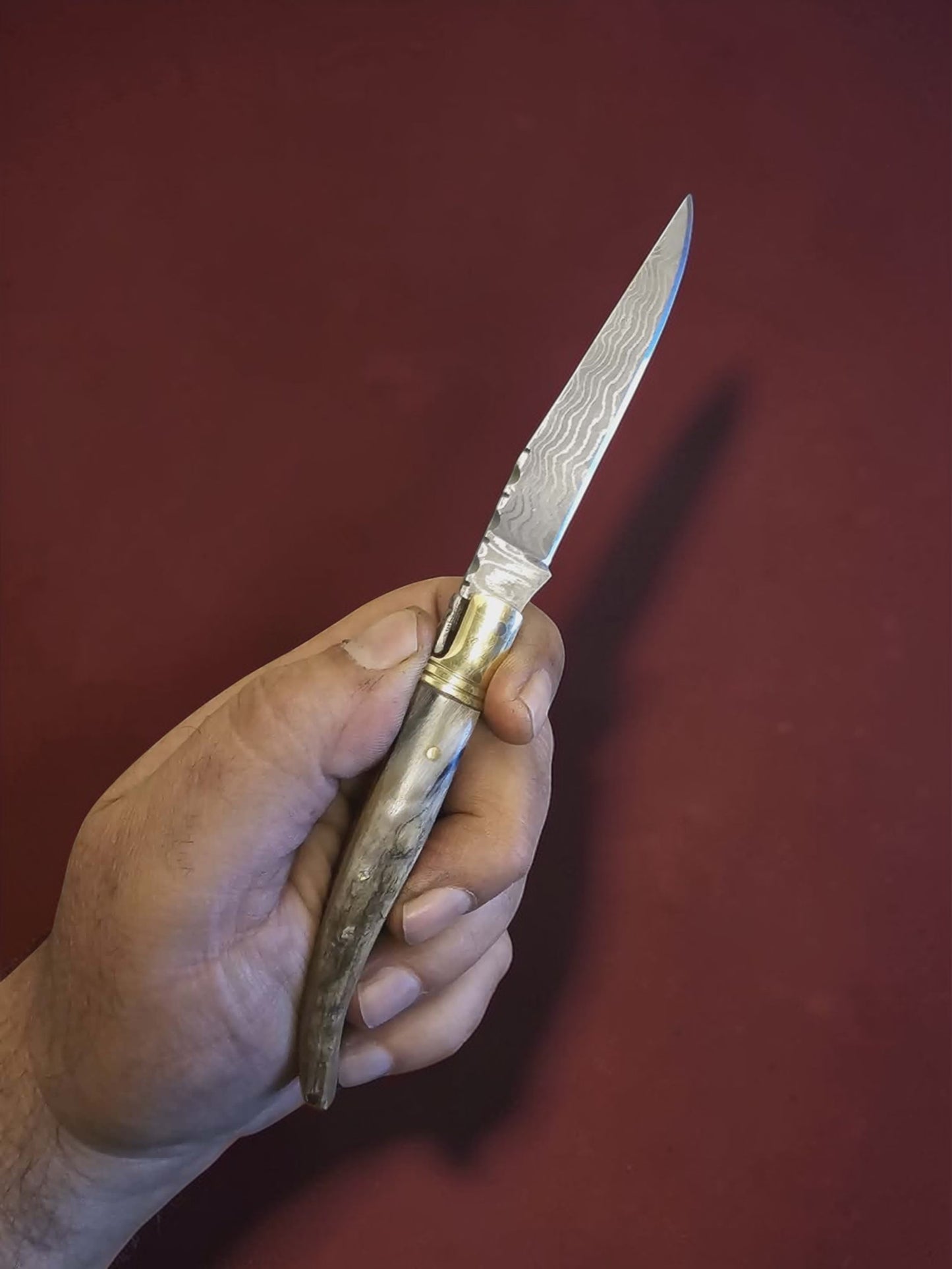 F085 Laguiole La Guêpe - Stainless Damascus & Horn