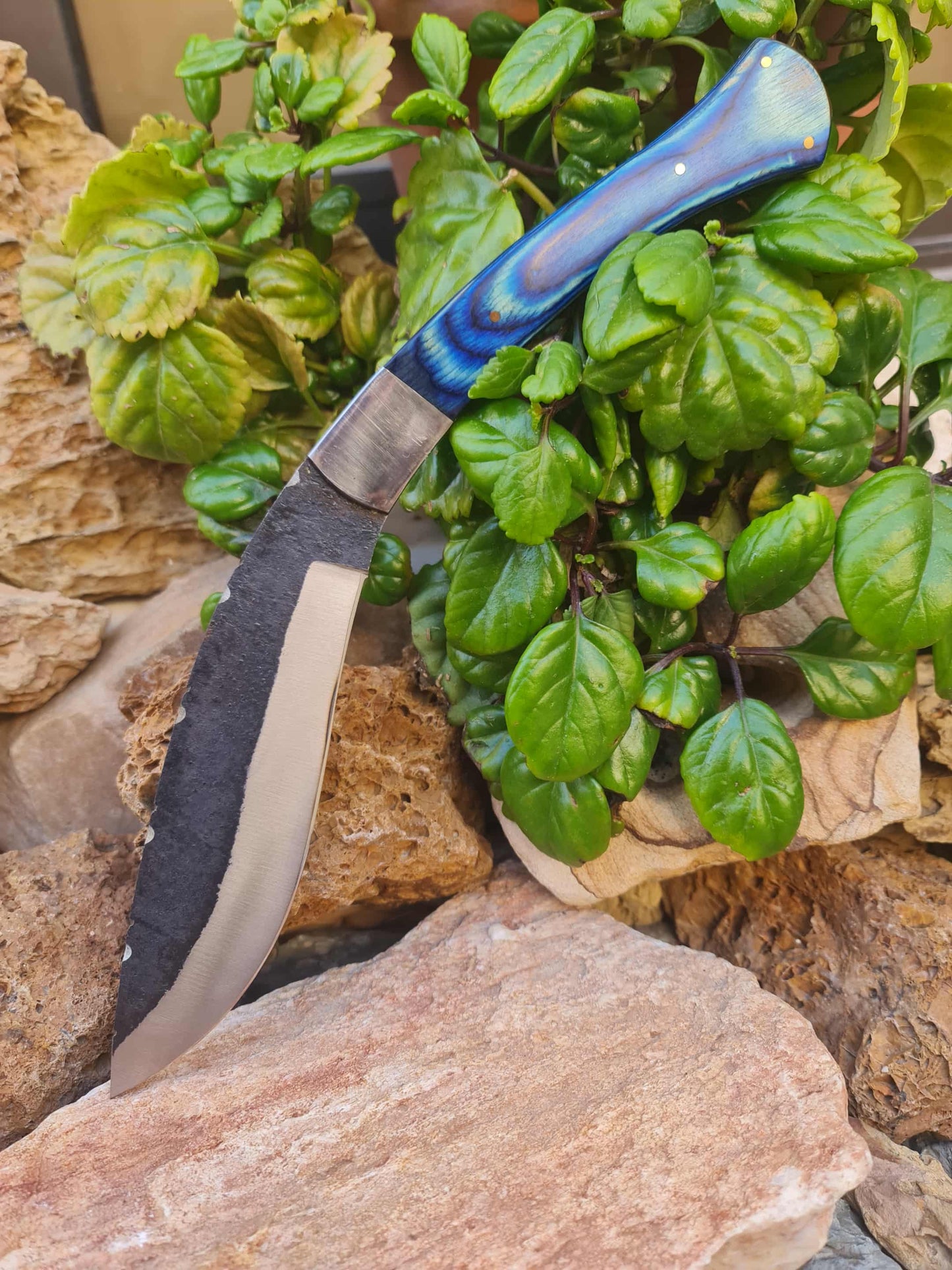 K101 Handmade Curved Knife - Carbon & Resin wood