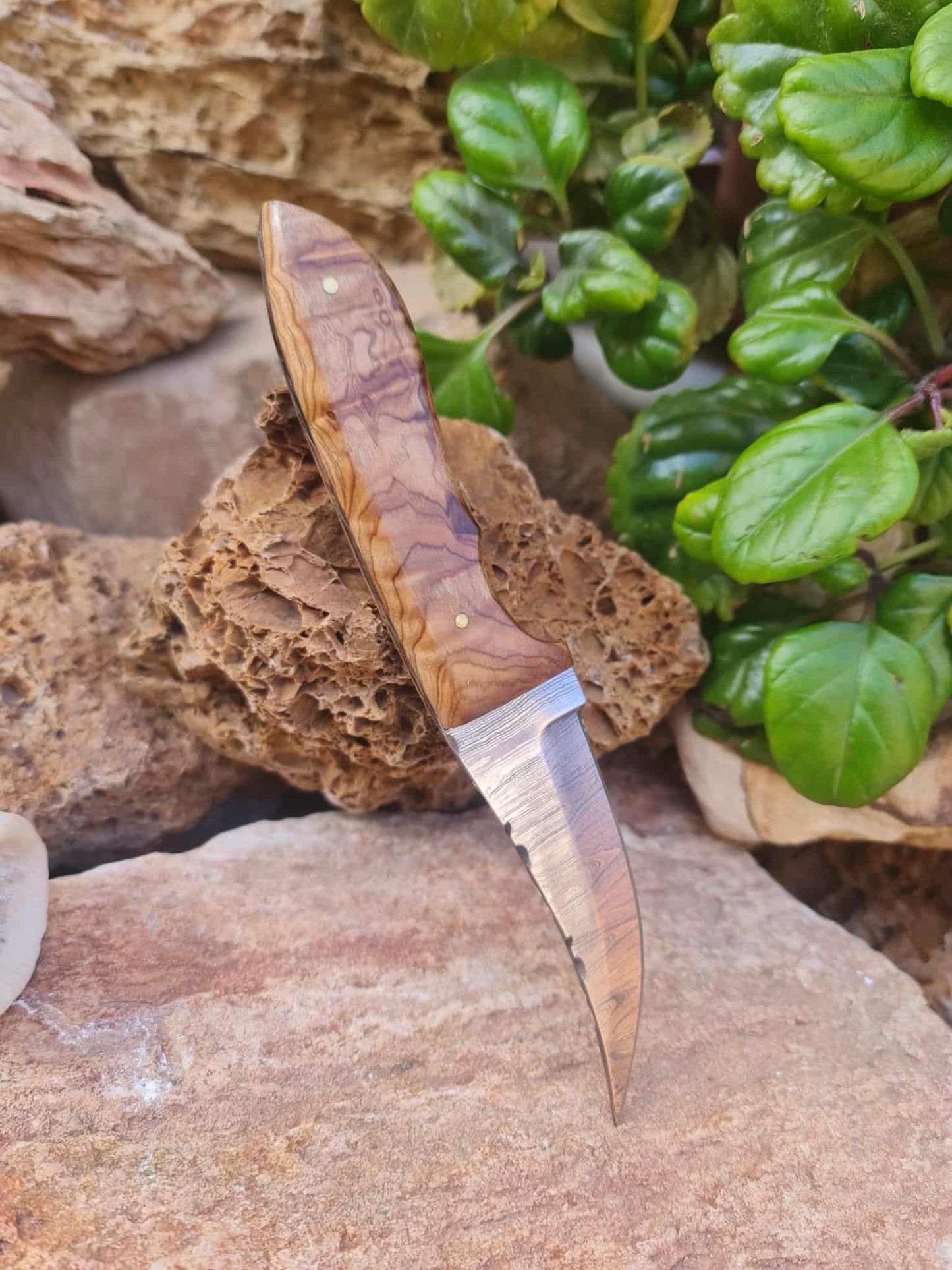 Handmade 21cm Hunting Knife with Damascus Steel & Olive wood