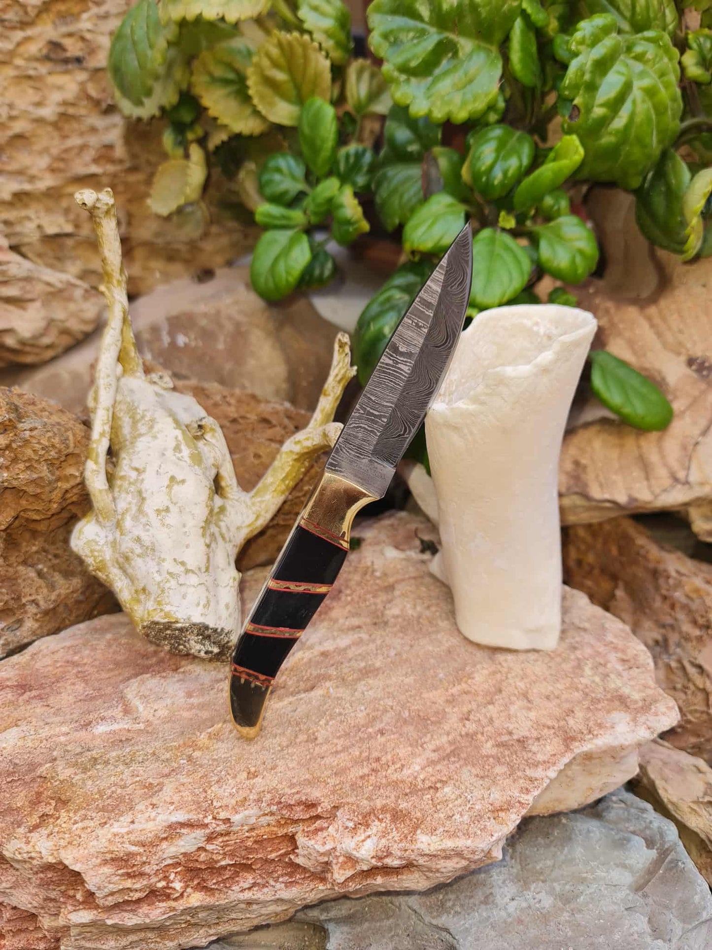 Handmade 18cm Mini Hunting Knife with Damascus Steel - Buffalo Horn - Camel Bone & Brass