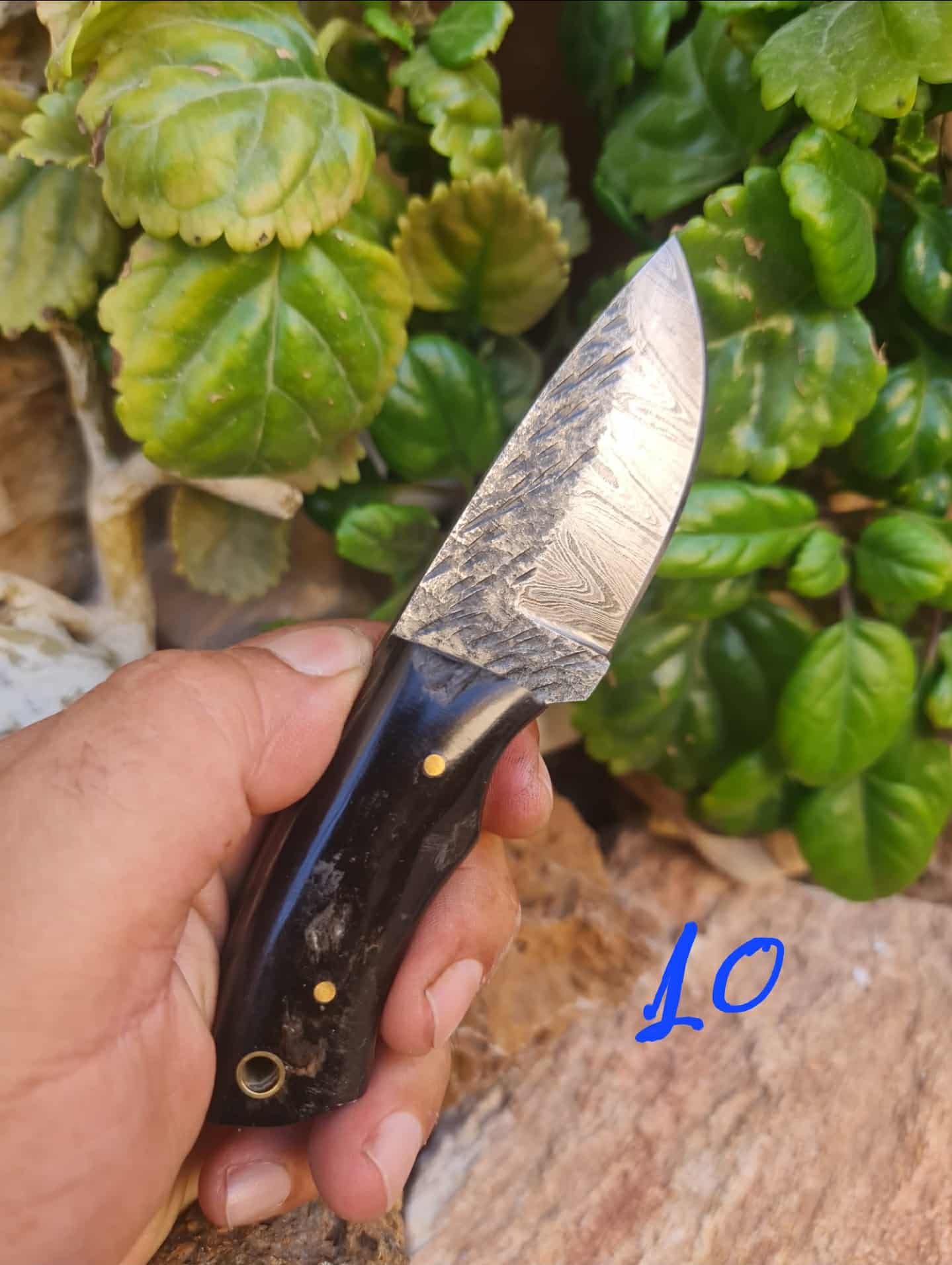 Handmade 15cm Mini Skinner Knife with Damascus Steel & Ram Horn