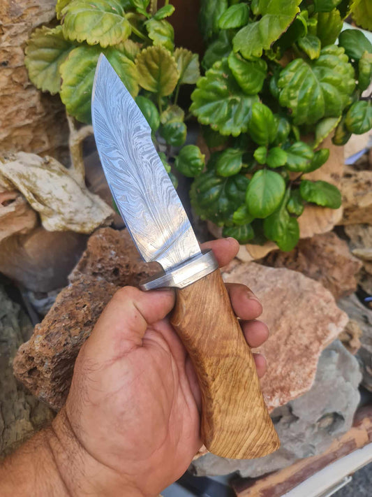 Handmade 27cm Hunting Knife with Feather Damascus Steel & Olive wood