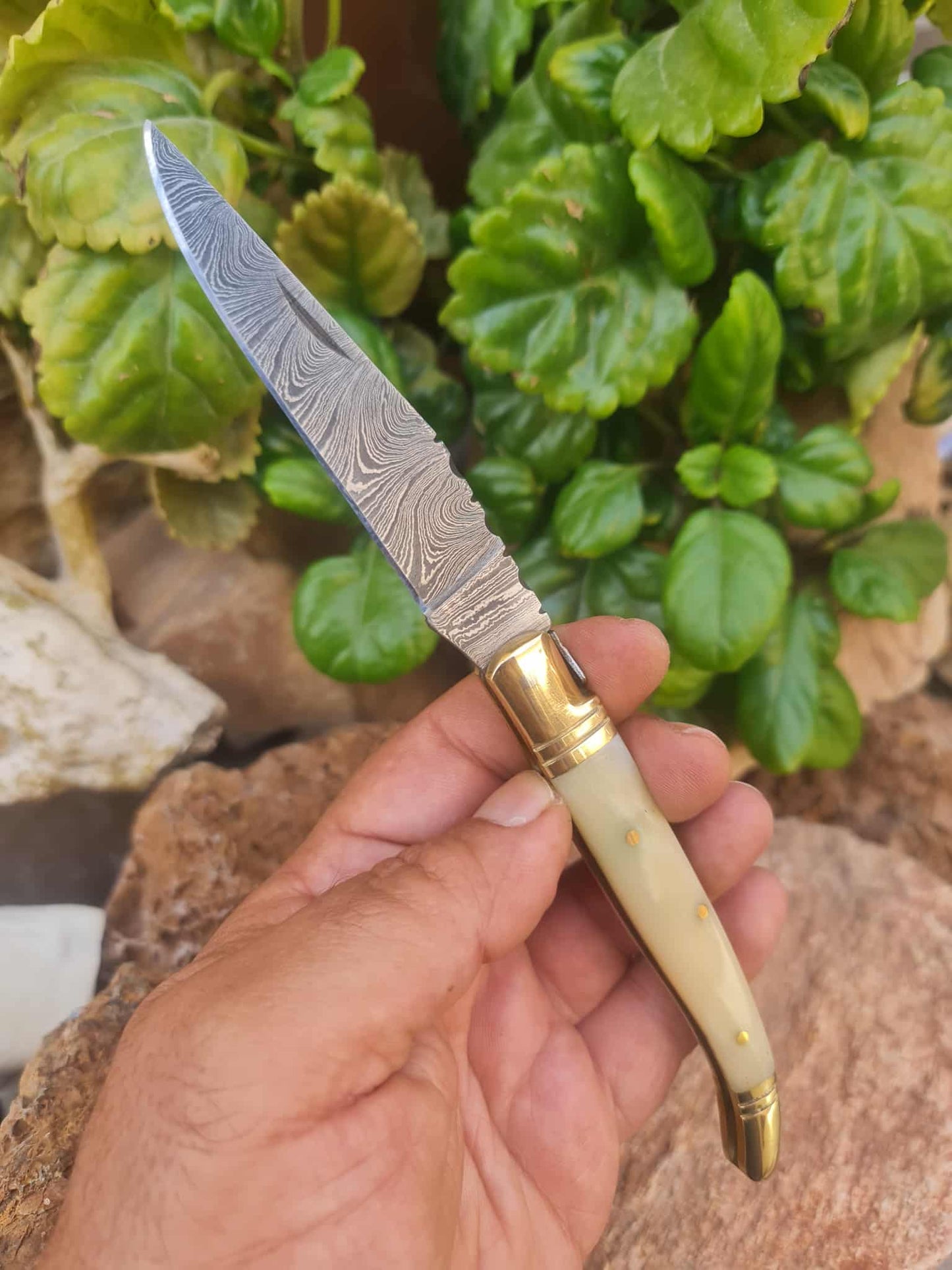 Handmade 22cm Laguiole Classique with Damascus Steel - Camel Bone & Brass