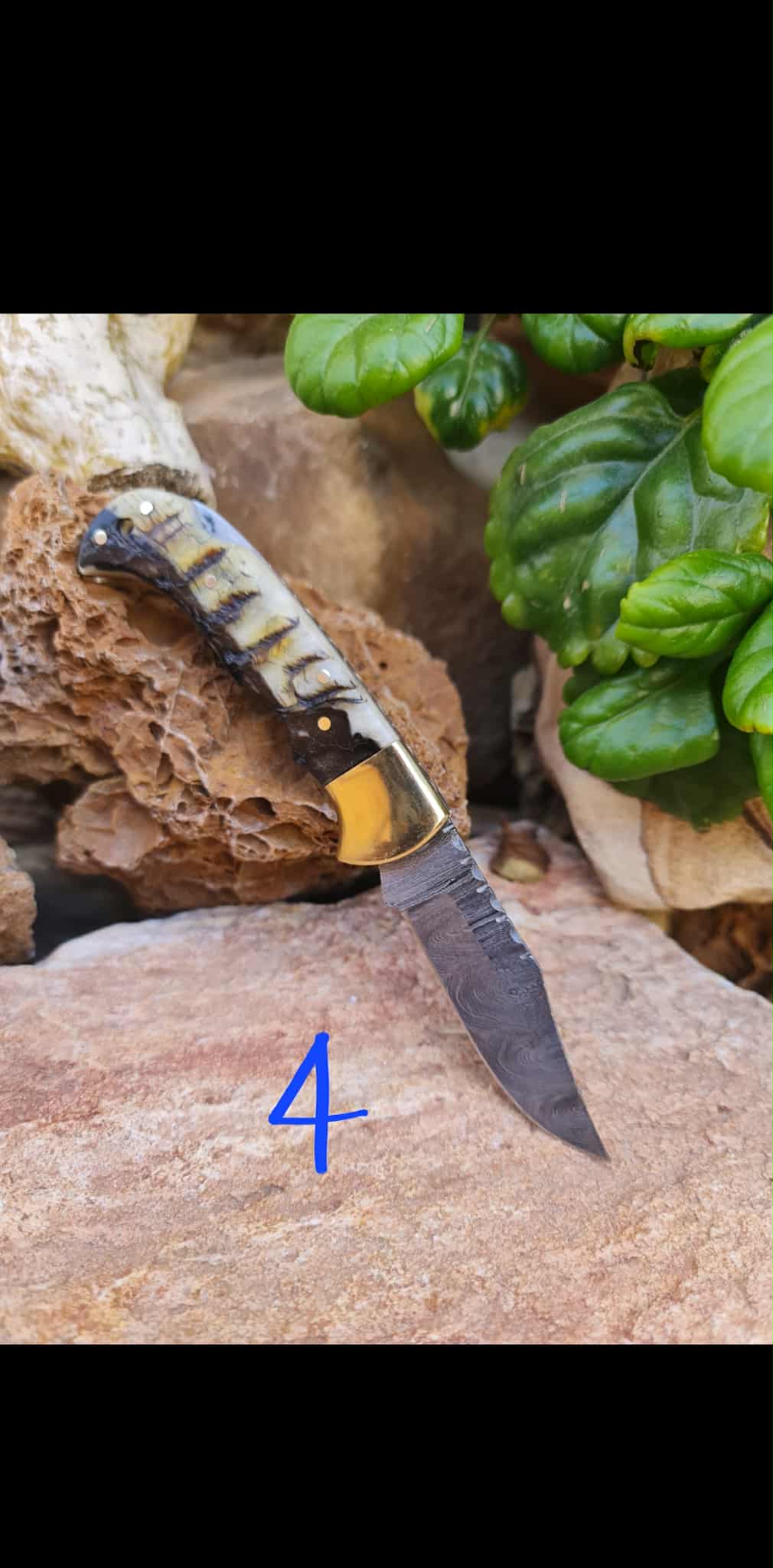 Handmade 17cm Pocket Knife with Damascus Steel - Ram Horn & Brass