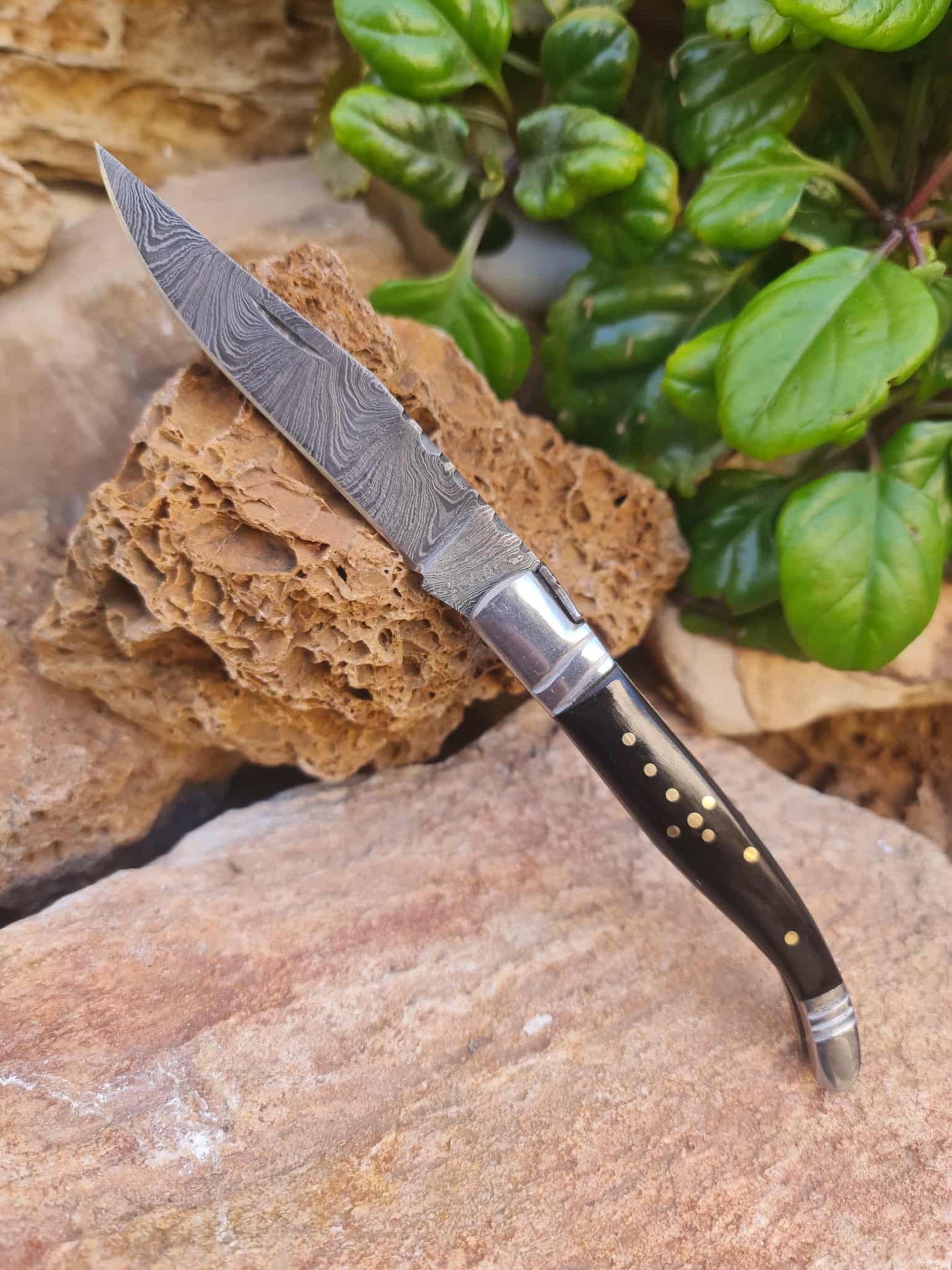 Handmade 22cm Laguiole Rustique with Damascus Steel - Stabilized Camel Bone with D2 Stainless Steel