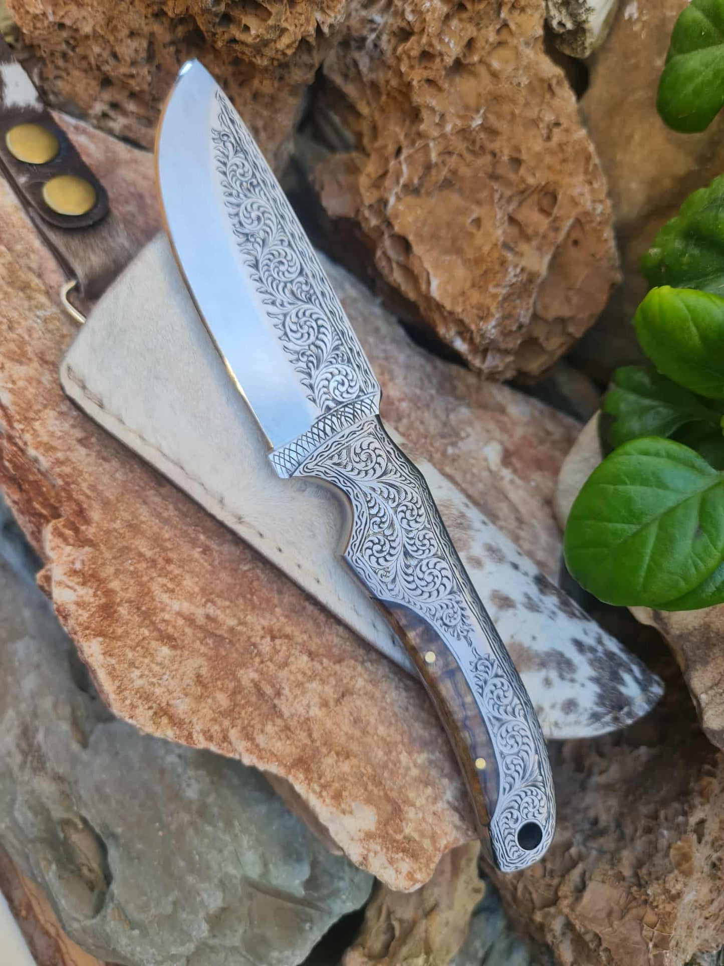 Handmade 23cm Exclusive Hunting Knife with Stainless Steel with Master Hand-Engraved & Exotic Hardwood