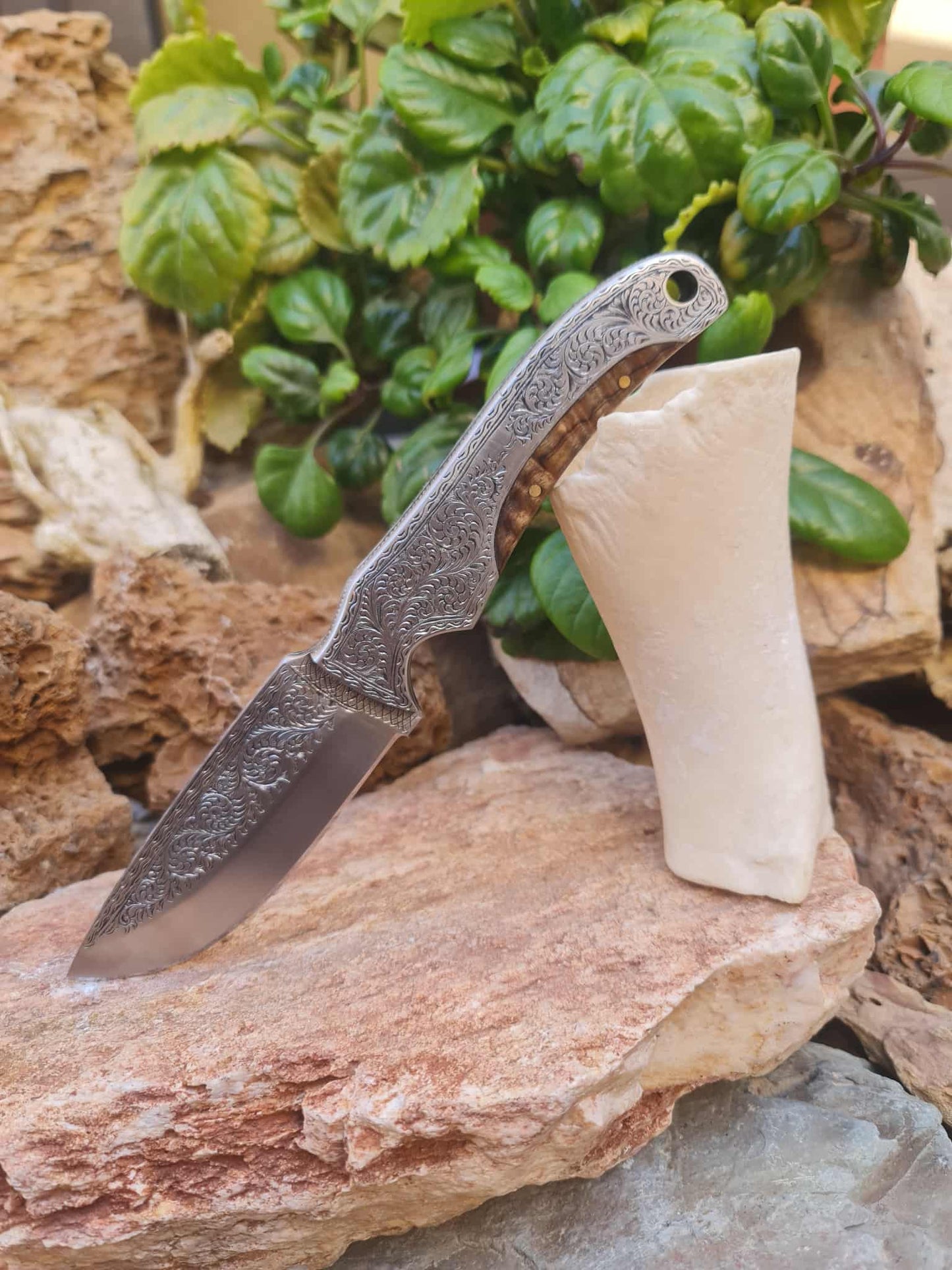 Handmade 23cm Exclusive Hunting Knife with Stainless Steel with Master Hand-Engraved & Exotic Hardwood