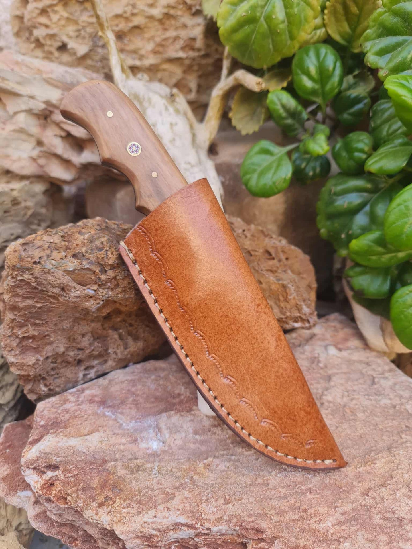 Handmade 22cm Hunting Knife with Damascus Steel - Olive wood & Camel bone