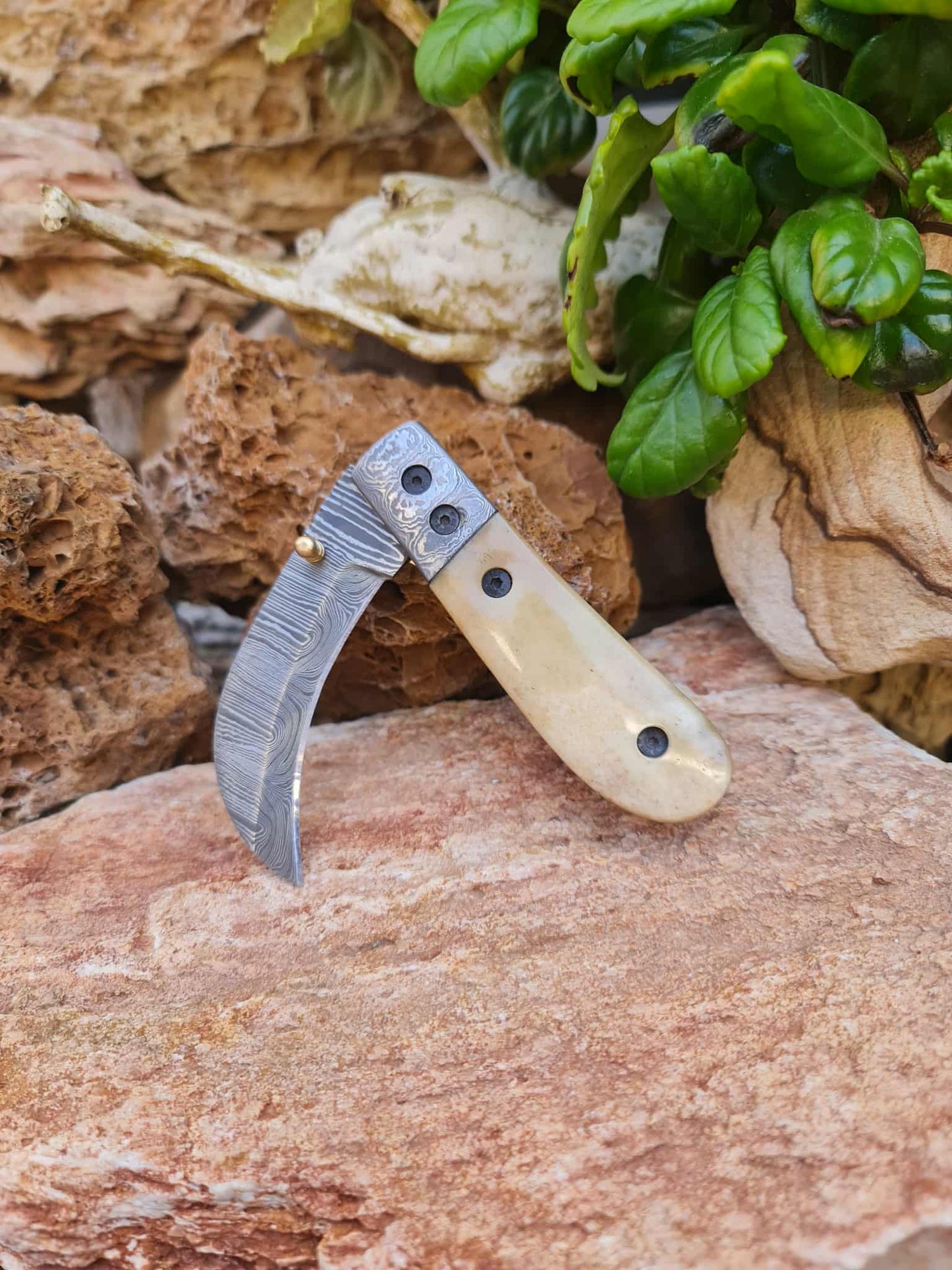 Handmade Hawkbill – 18cm Folding Knife with Damascus Steel & Camel Bone