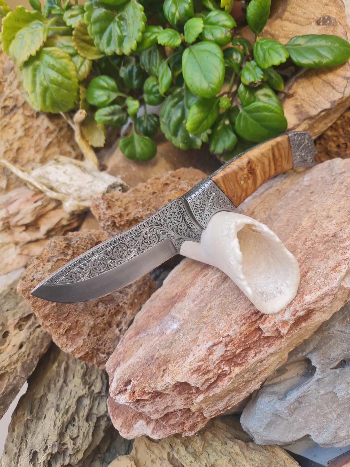 Handmade 25cm Exclusive Hunting Knife with Stainless Steel with Master Hand-Engraved & Olive wood