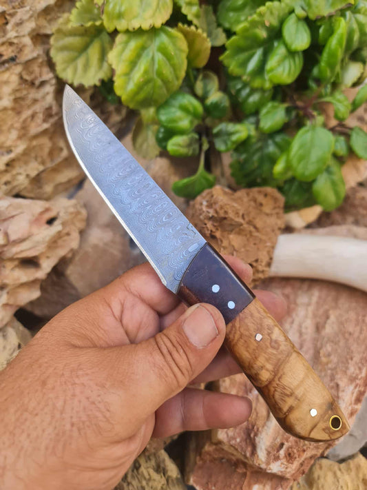 Handmade 22cm Bushcraft Knife with Damascus Steel - Olivewood & Rosewood