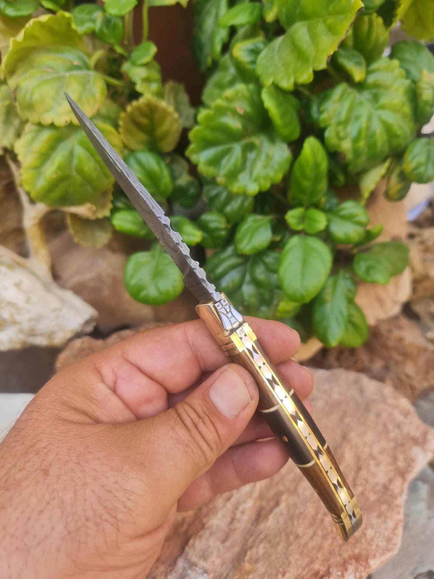 Handmade 22cm Laguiole Classique with Damascus Steel - Walnut wood - Buffalo Horn & Brass