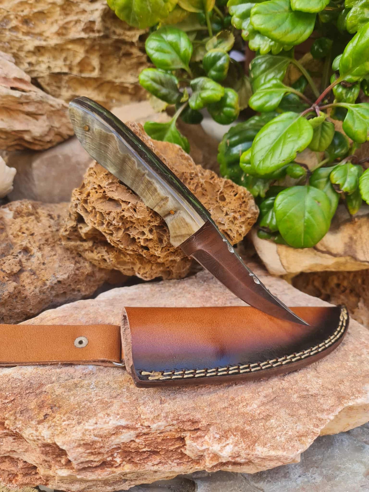 Handmade 21cm Hunting Knife with Damascus Steel & Ram Horn