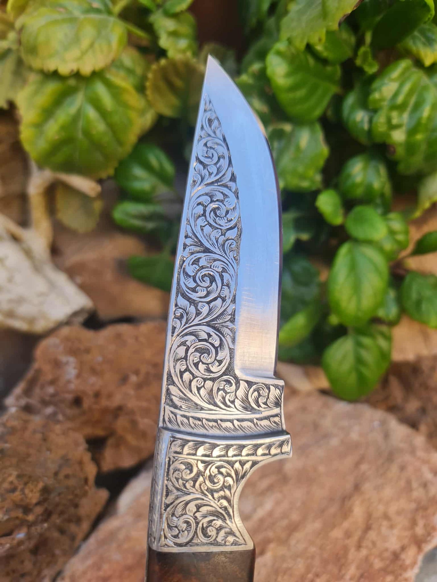 Handmade 23cm Exclusive Hunting Knife with Stainless Steel with Master Hand-Engraved & Rosewood