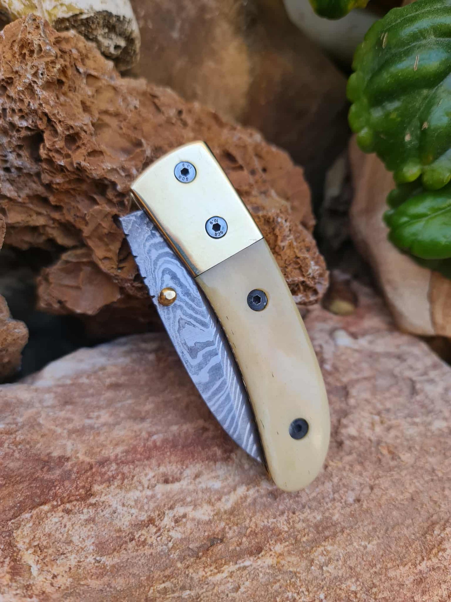 Handmade Classic Elegance – 18cm Folding Knife with Damascus Steel - Camel bone & Brass