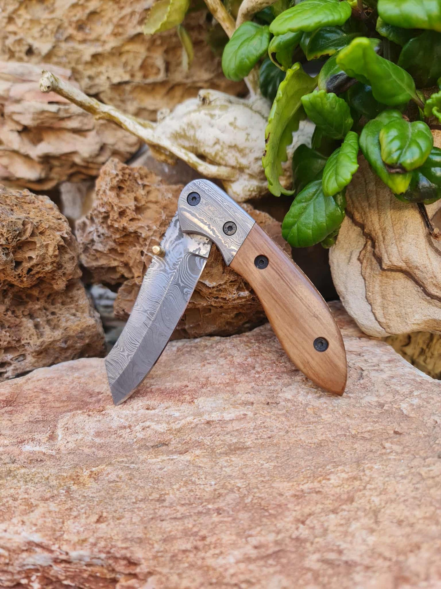 Handmade Dao – 20cm Folding Knife with Damascus Steel & Olive Wood