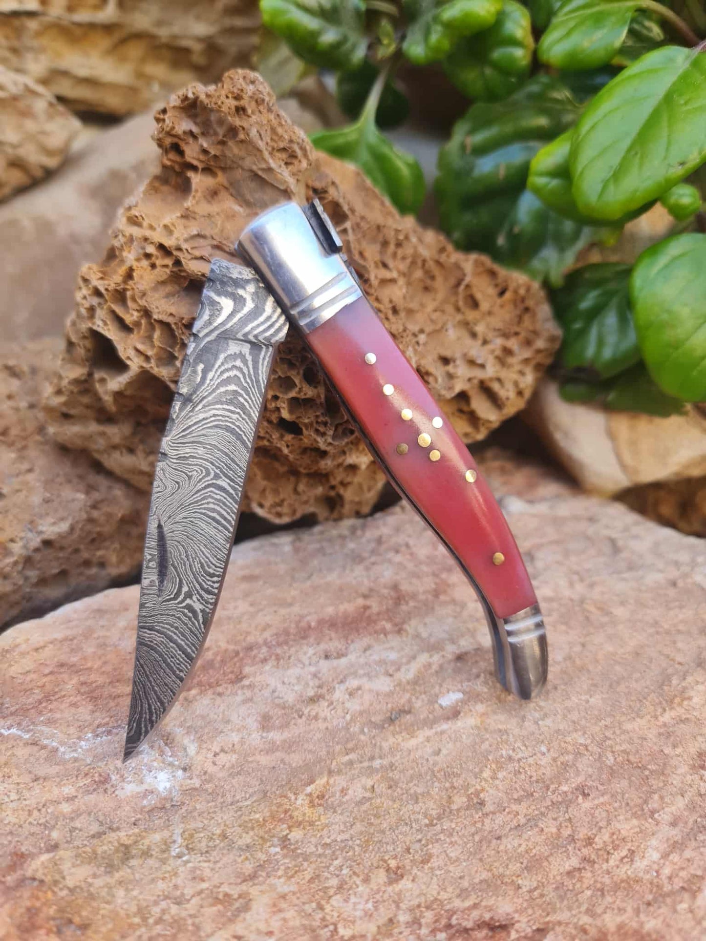 Handmade 22cm Laguiole Rustique with Damascus Steel - Stabilized Camel Bone with D2 Stainless Steel