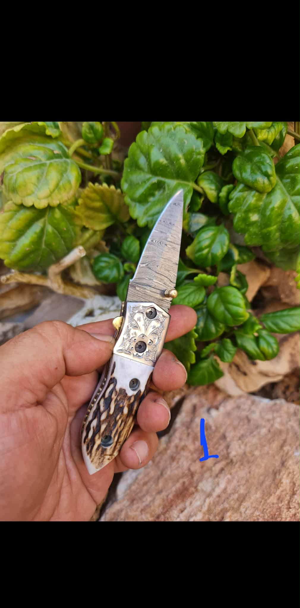 Handmade Limited Edition with Serial Number 16cm Knives with Damascus Steel - Red Deer antler & Hand Engraved Stainless Steel D2 (Exclusive Knife with Serial Number)