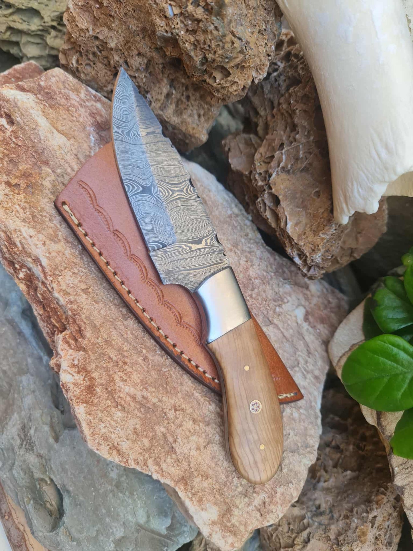 Handmade 22cm Skinner Knife with Damascus Steel - Olive wood & D2 Stainless Steel