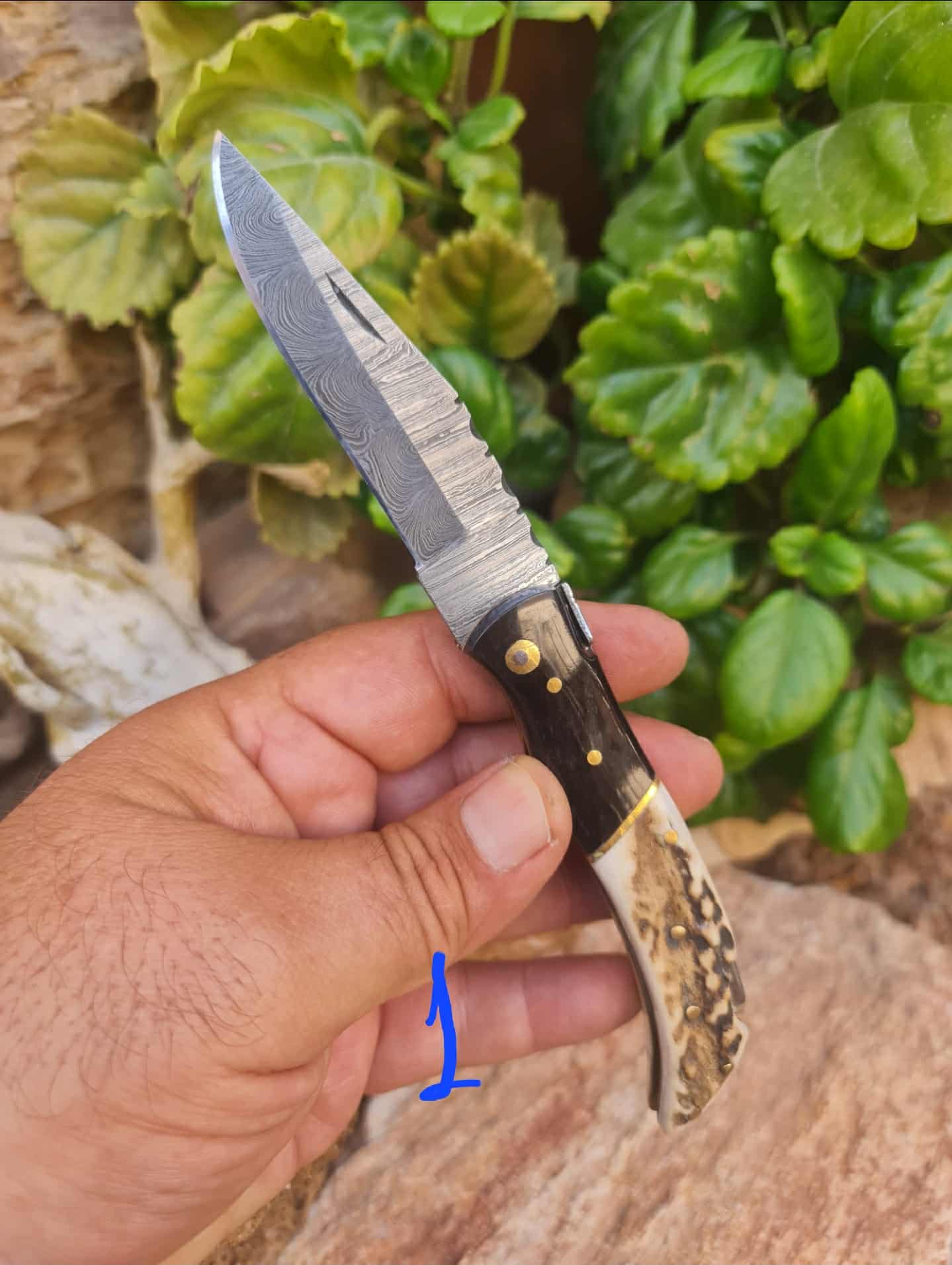 Handmade 19cm Laguiole Élite with Damascus Steel - Red Deer antler & Buffalo Horn