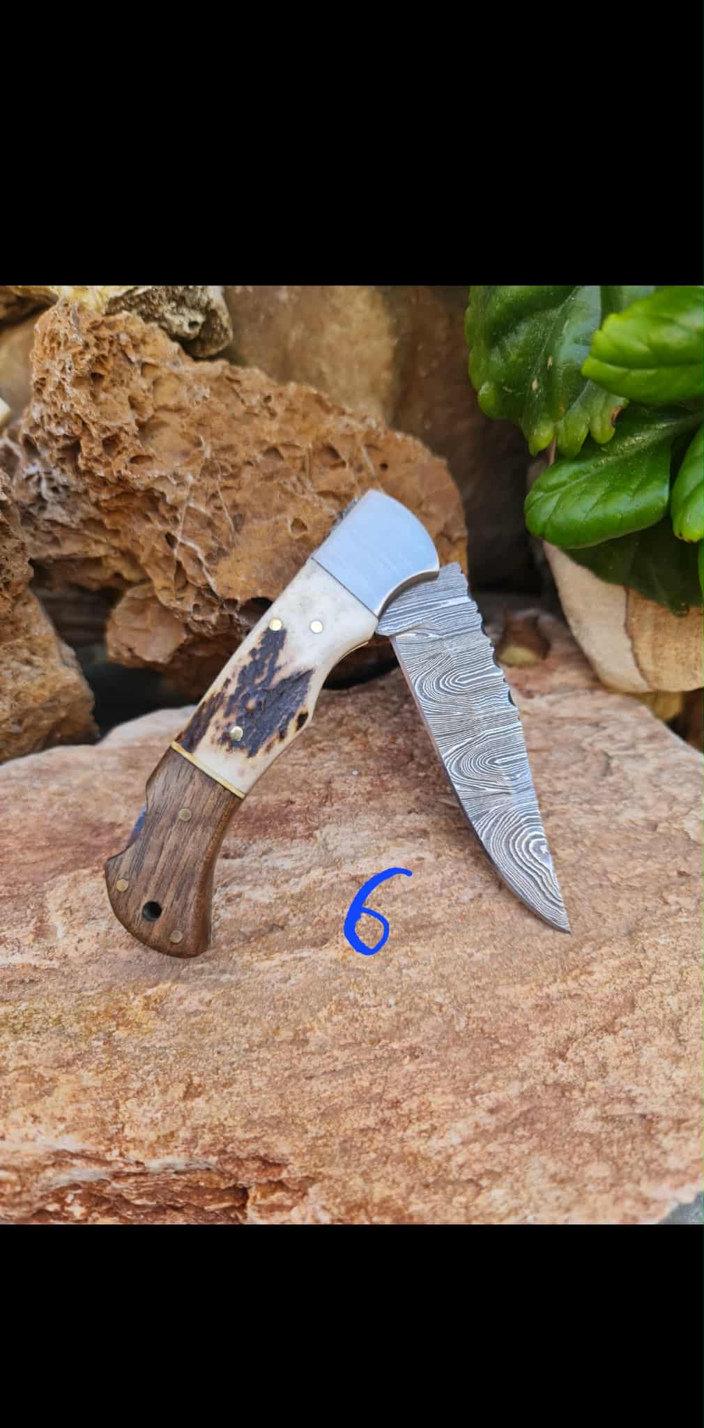 Handmade 19cm Pocket Knife with Damascus Steel - Red deer antler - Walnut wood & D2 Stainless Steel
