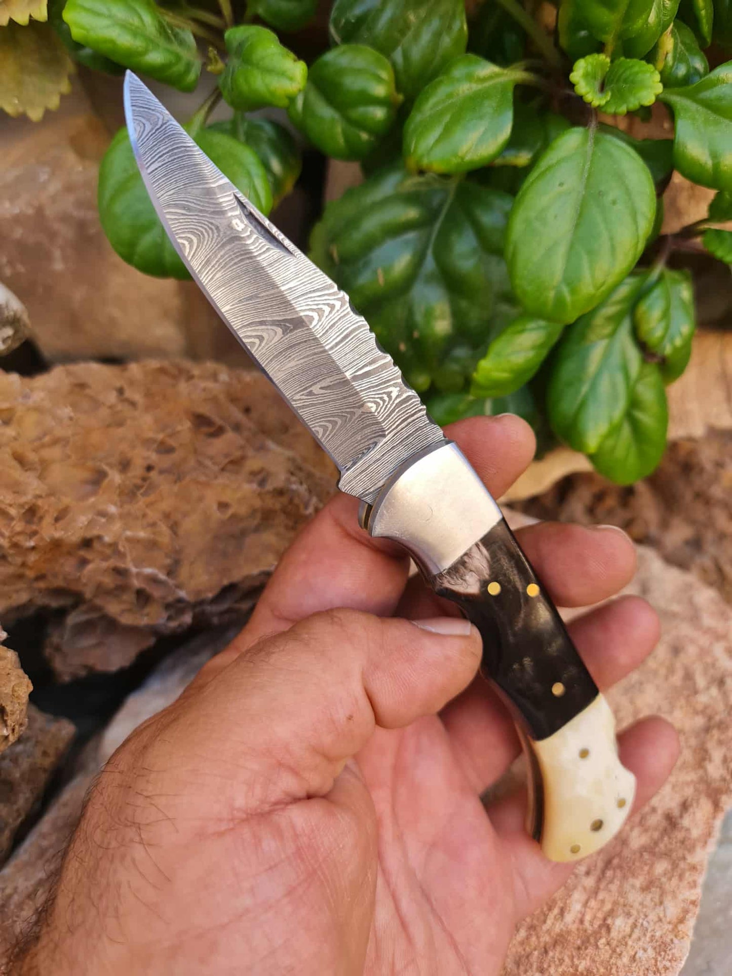 Handmade 19cm Pocket Knife with Damascus Steel - Buffalo Horn - Camel Bone & D2 Stainless Steel
