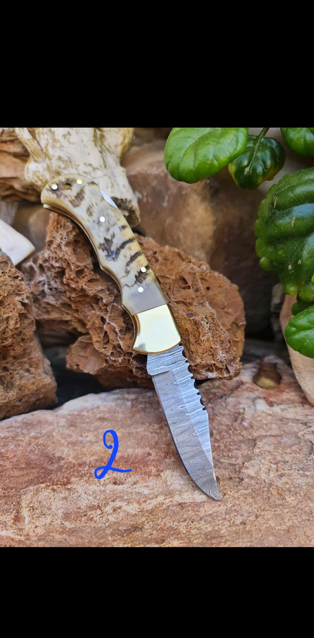 Handmade 17cm Pocket Knife with Damascus Steel - Ram Horn & Brass