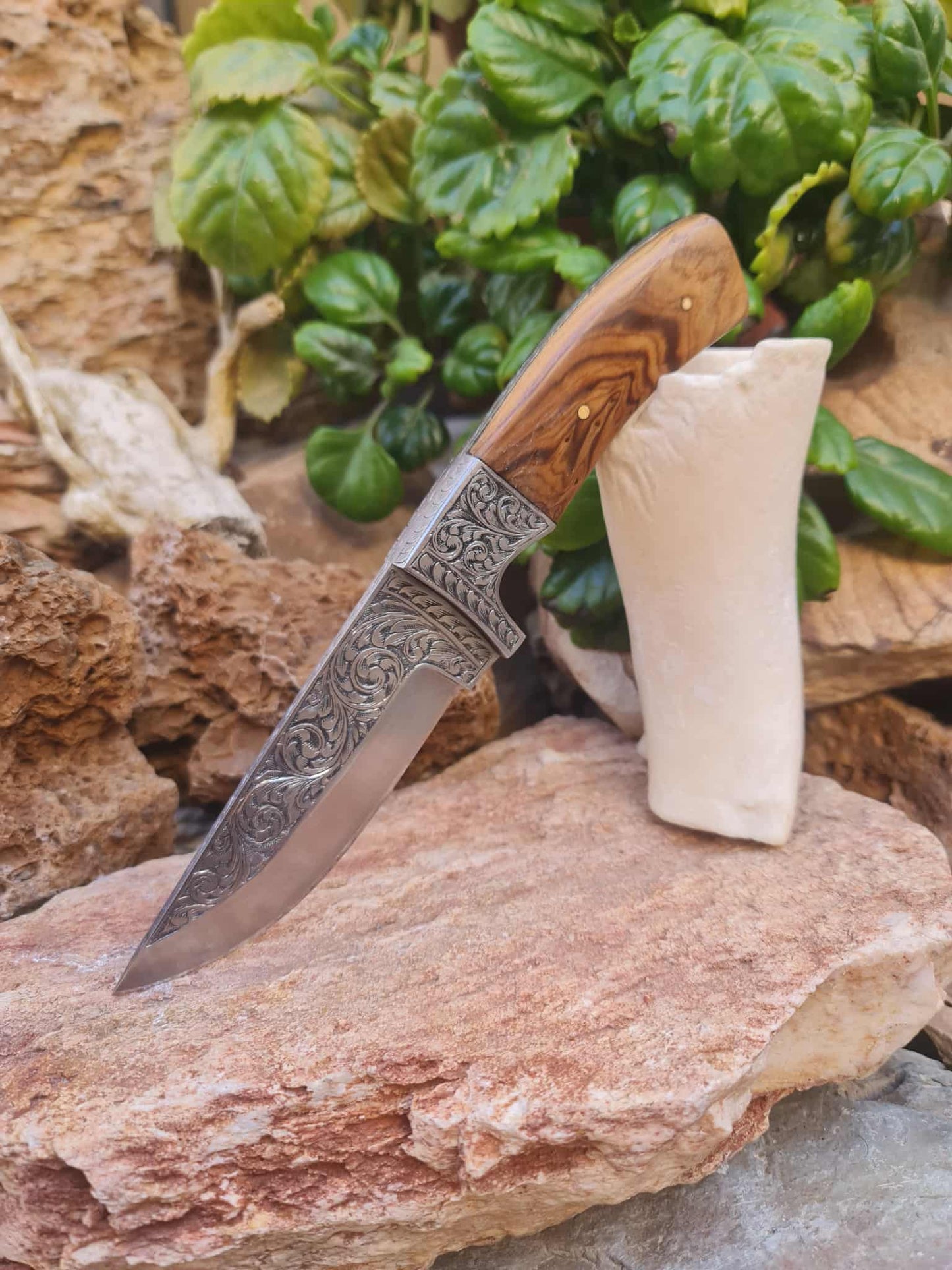 Handmade 23cm Exclusive Hunting Knife with Stainless Steel with Master Hand-Engraved & Olive wood